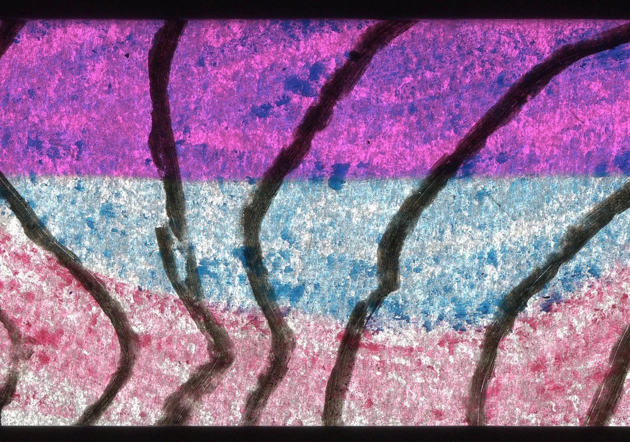 00067.jpg