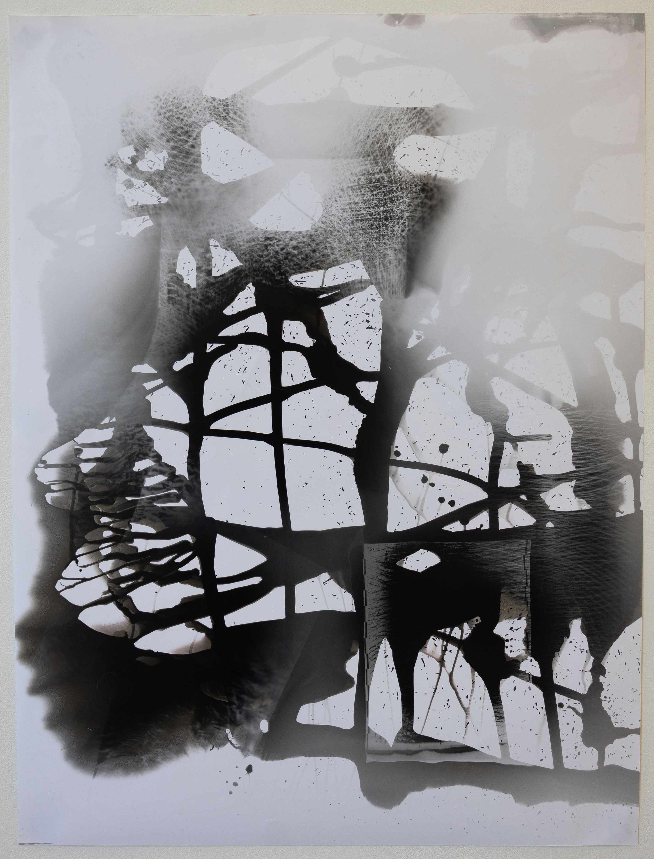 41 1/2” x 34"