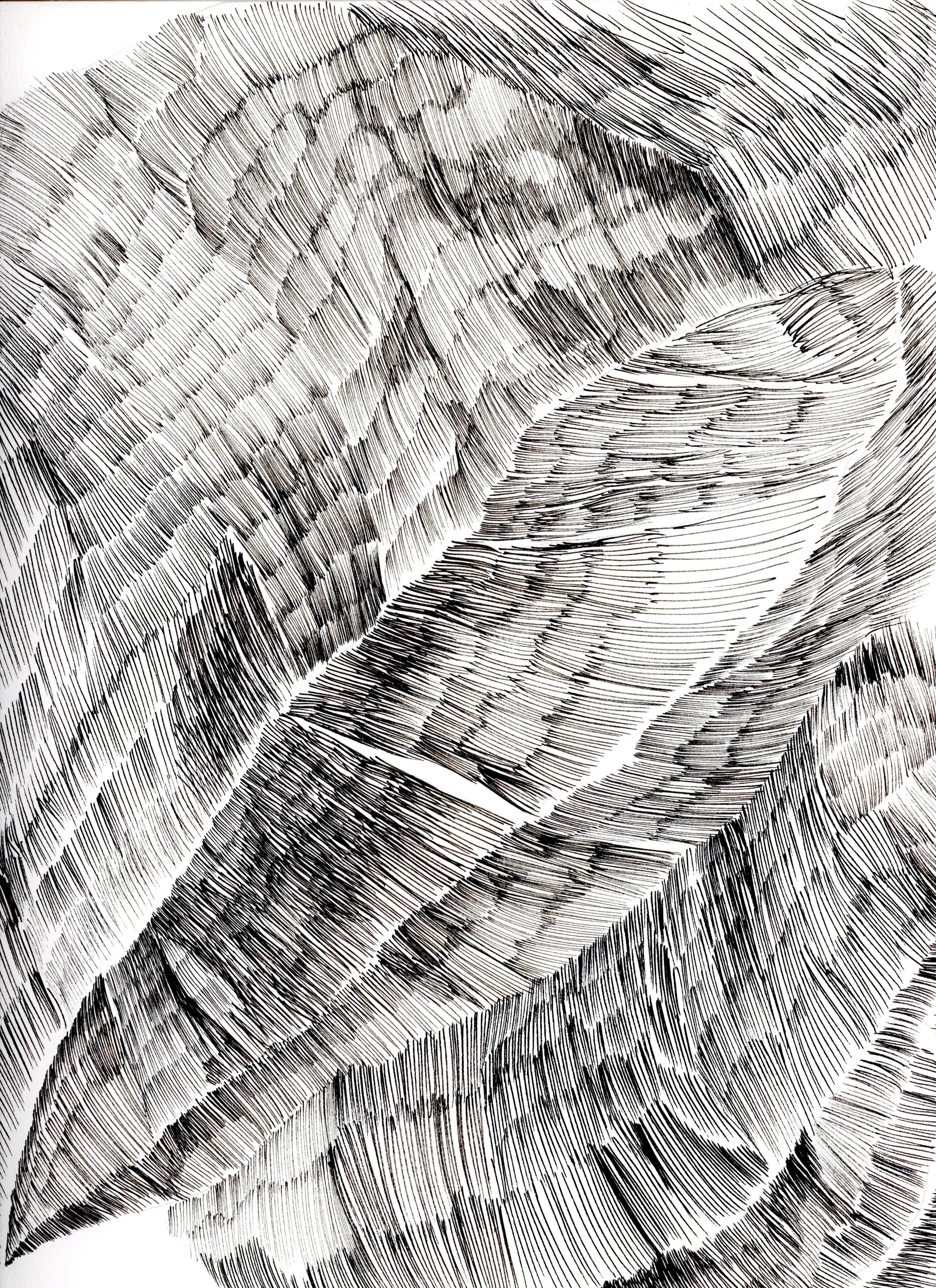 sketchbook27 9x12%22.jpg