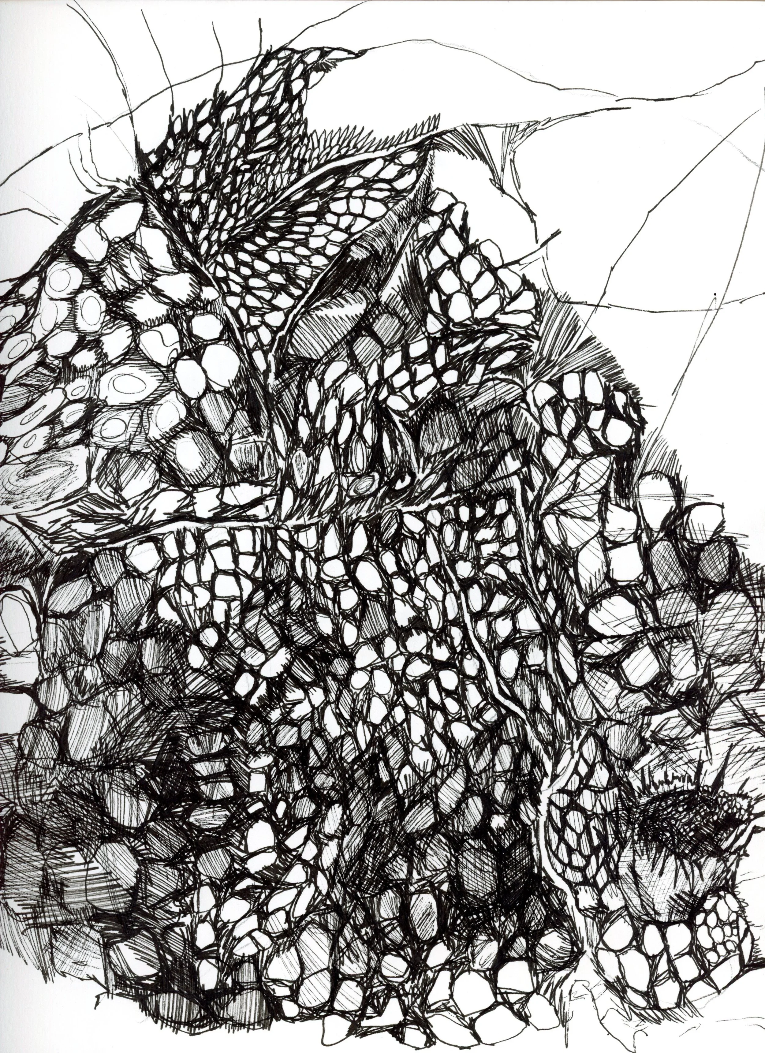 sketchbook35.jpg
