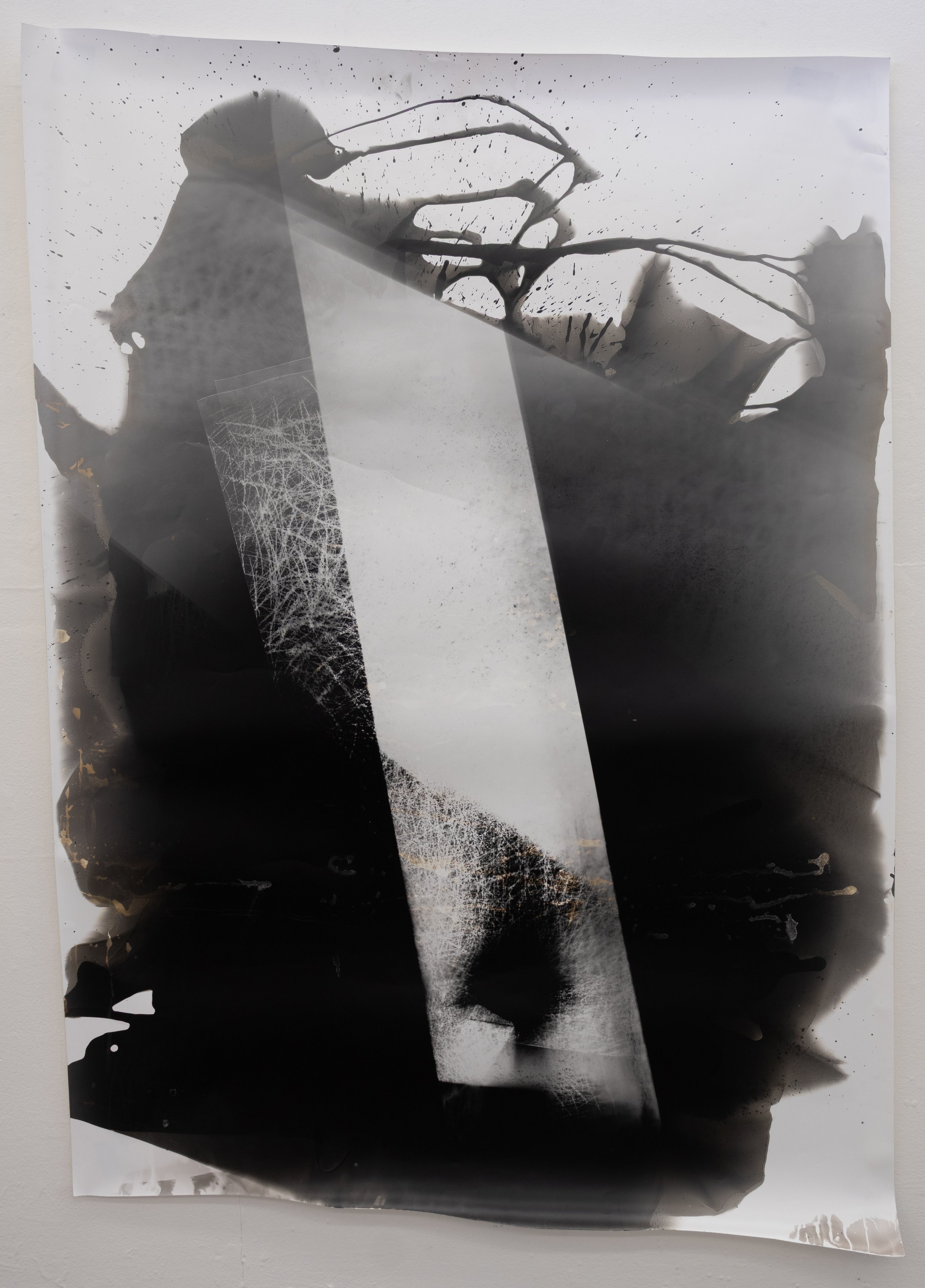 58” x 41 1/2” 