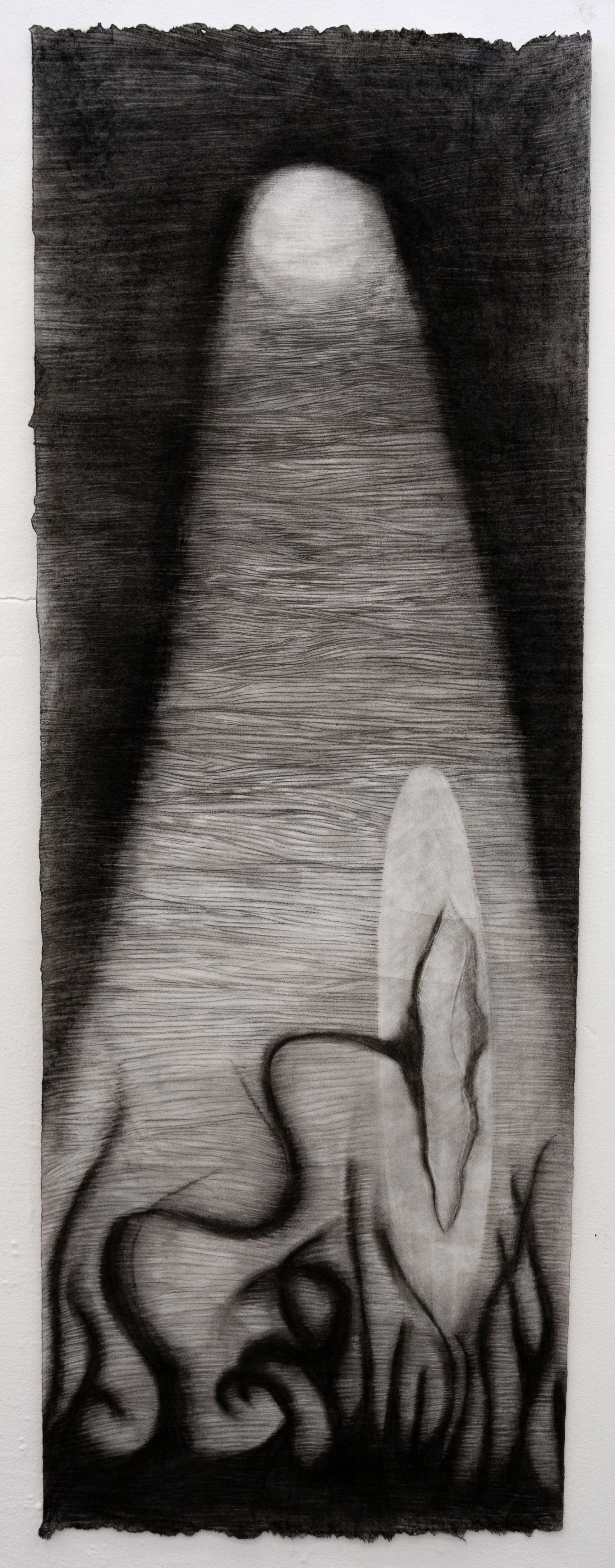 Floodlight
2025
Charcoal
60" x 21"