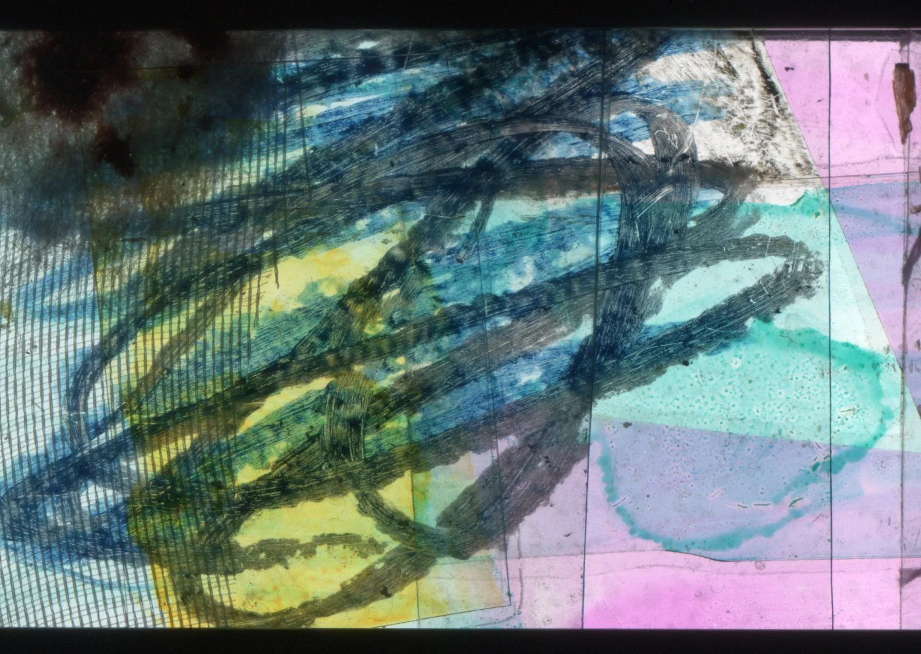 00156.jpg