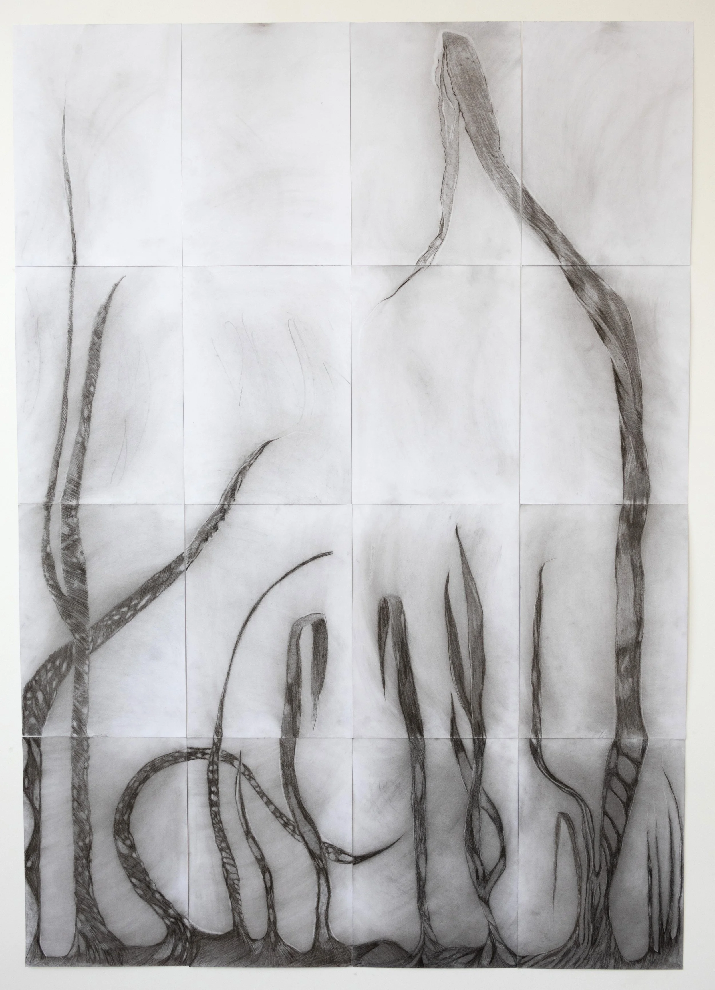 Blades
2025
Charcoal
66” x 47”