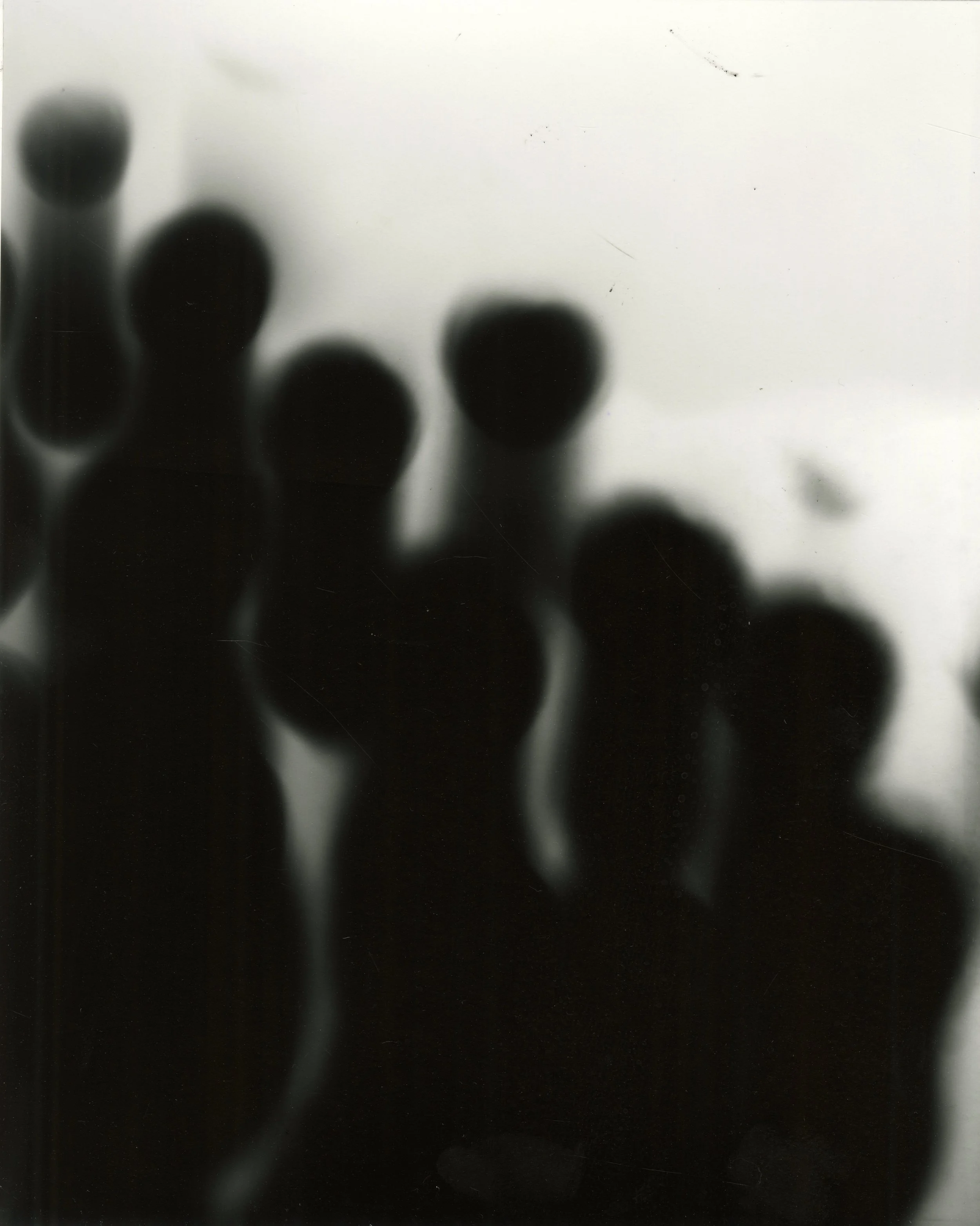 (Stage light exposure) 8x10" 