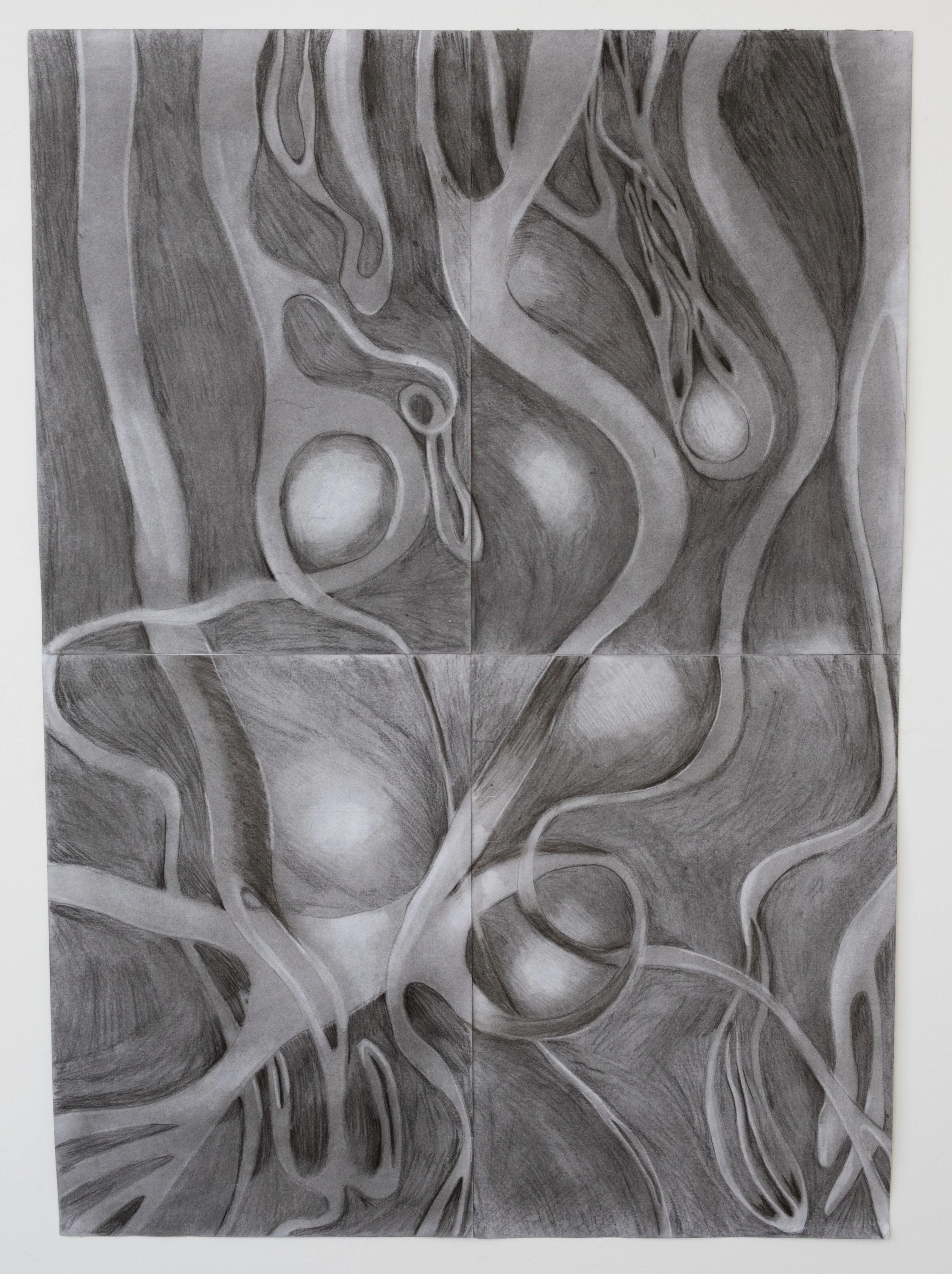 Tendrils with orbs II
2025
Charcoal
33” x 23 ½“