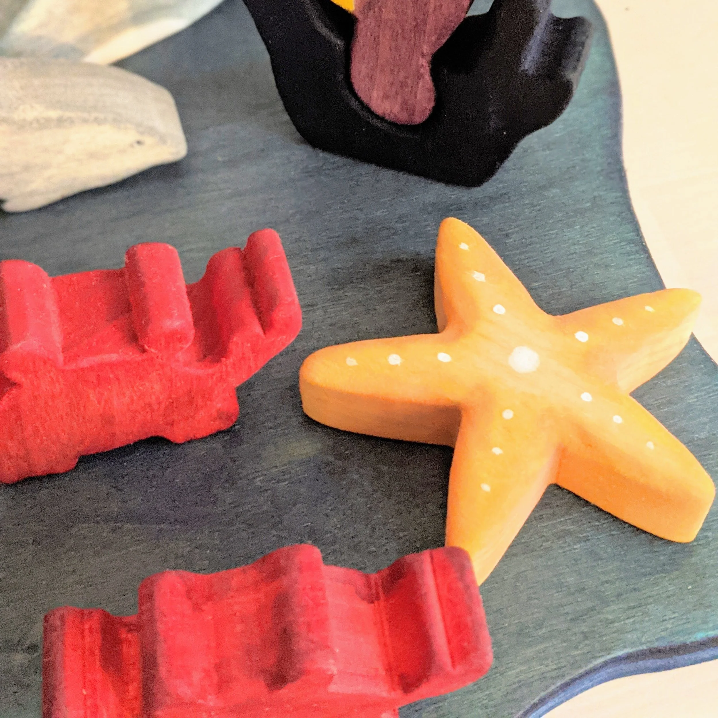 Starfish Details