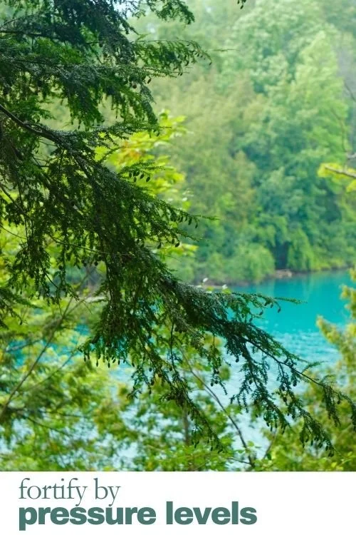 Why Can’t You Eliminate Stress? Here is What the High-Performers I Coach Do Instead.