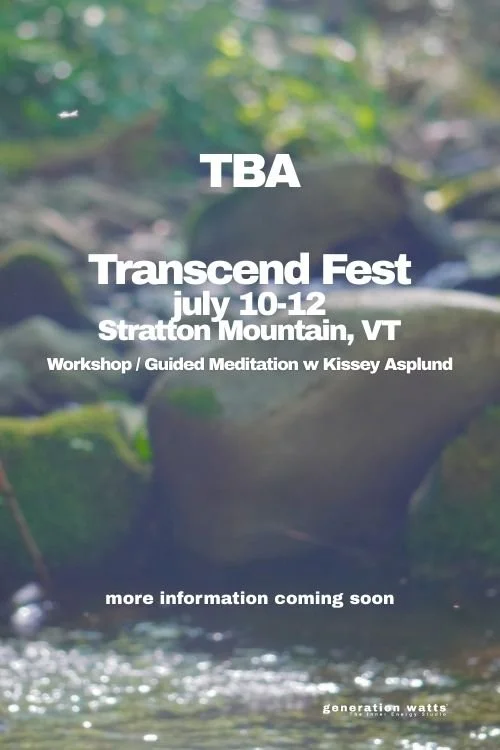 Guided Meditation &amp; Manifestation Workshop at Transcend Fest