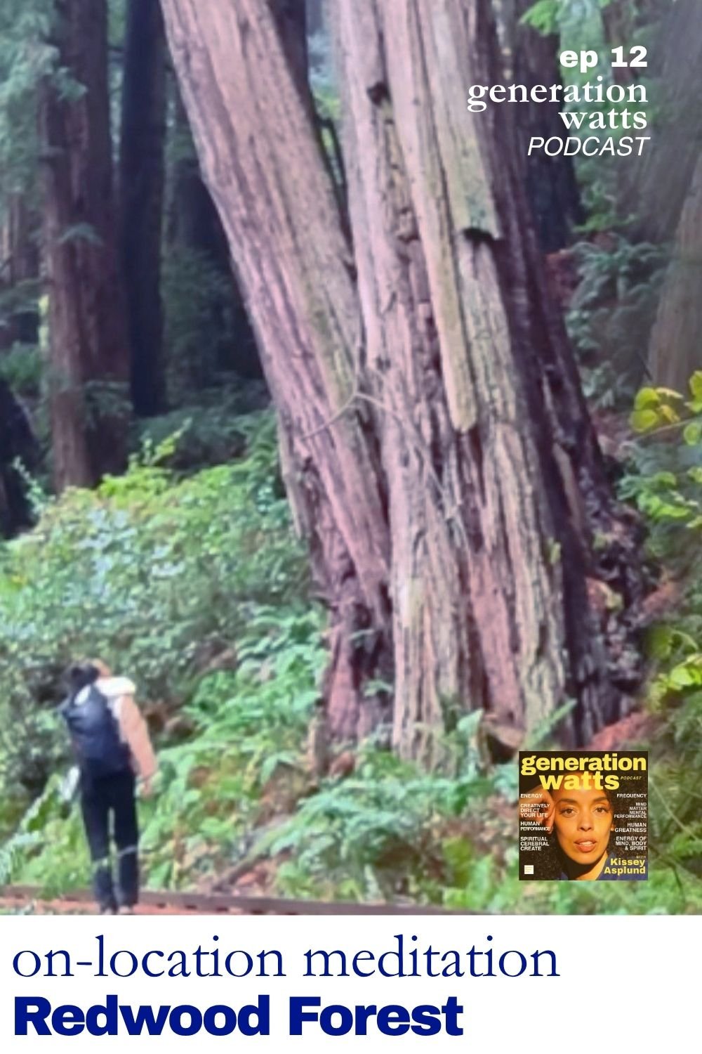 Guided Meditation in the Redwood Forest for Grounding and Nature Frequencies | E12