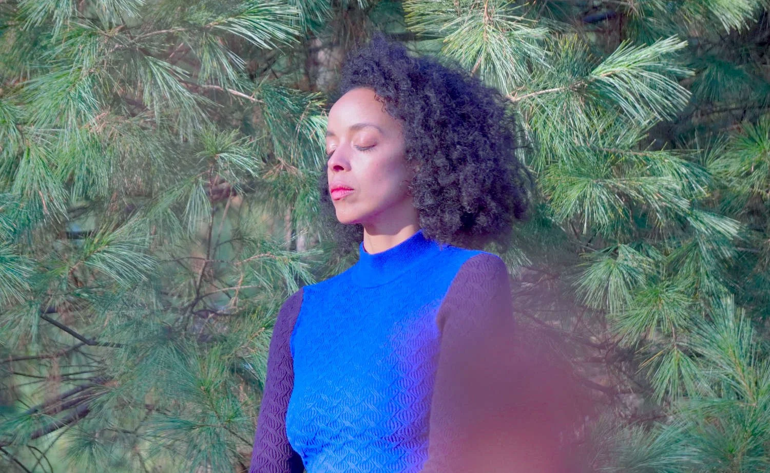 Kissey Asplund in meditation in forest wearing blue in front of pine trees