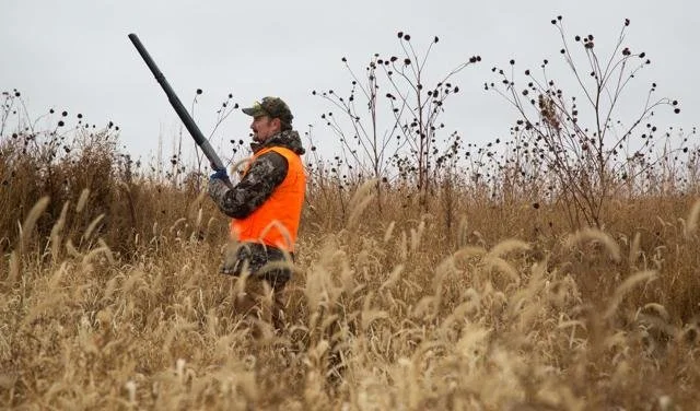 One Box Pheasant Hunt 2018-3.jpg