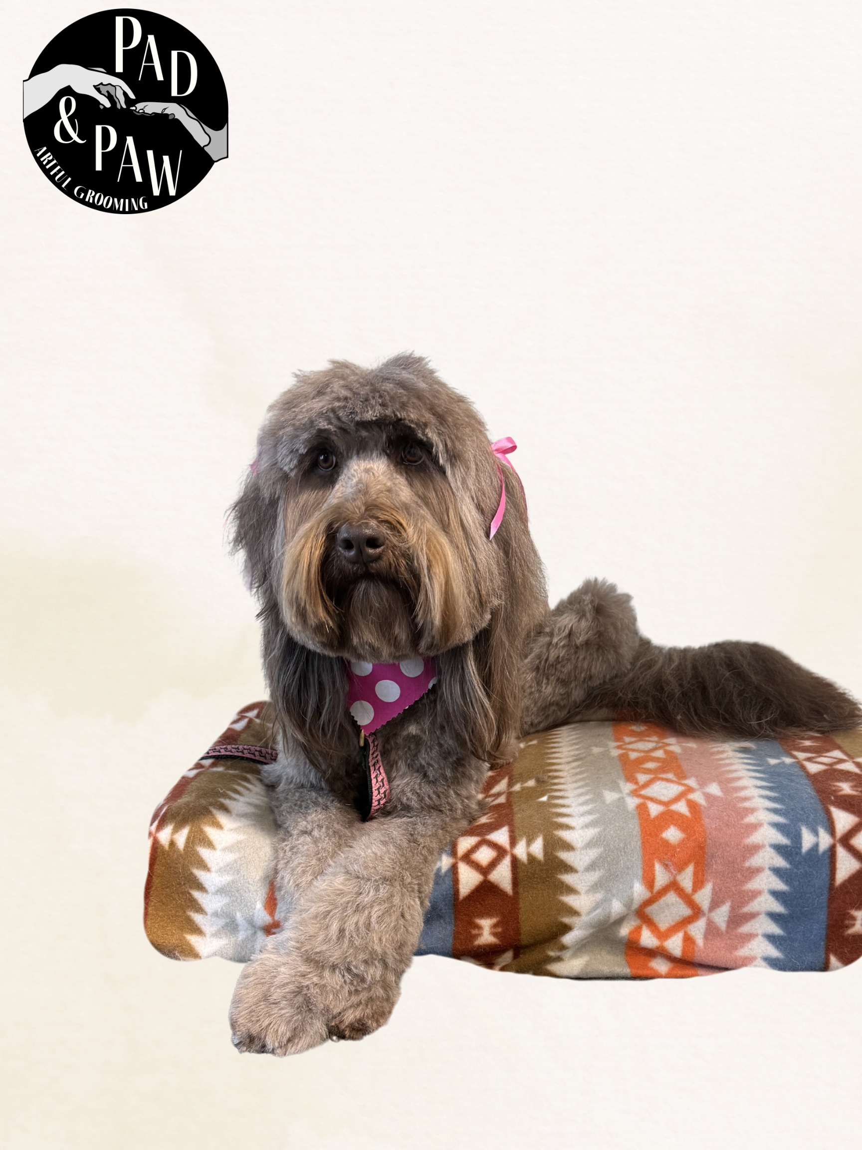 Untitled design - 7.png