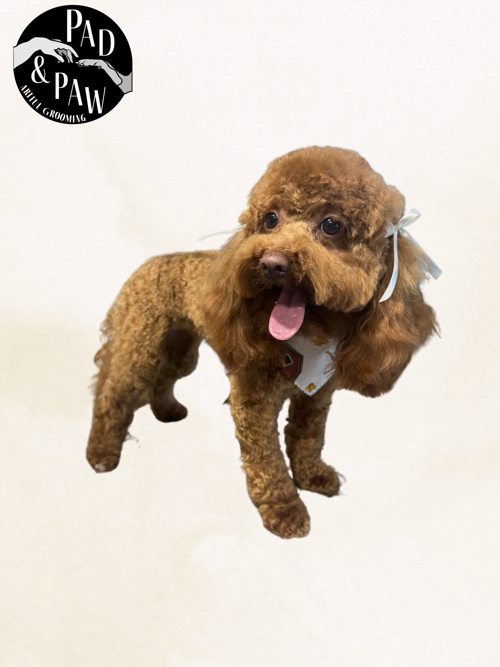 Untitled design - 12.png