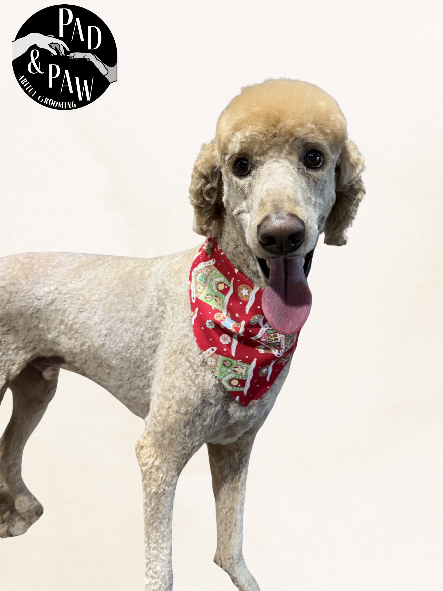 Untitled design - 11.png