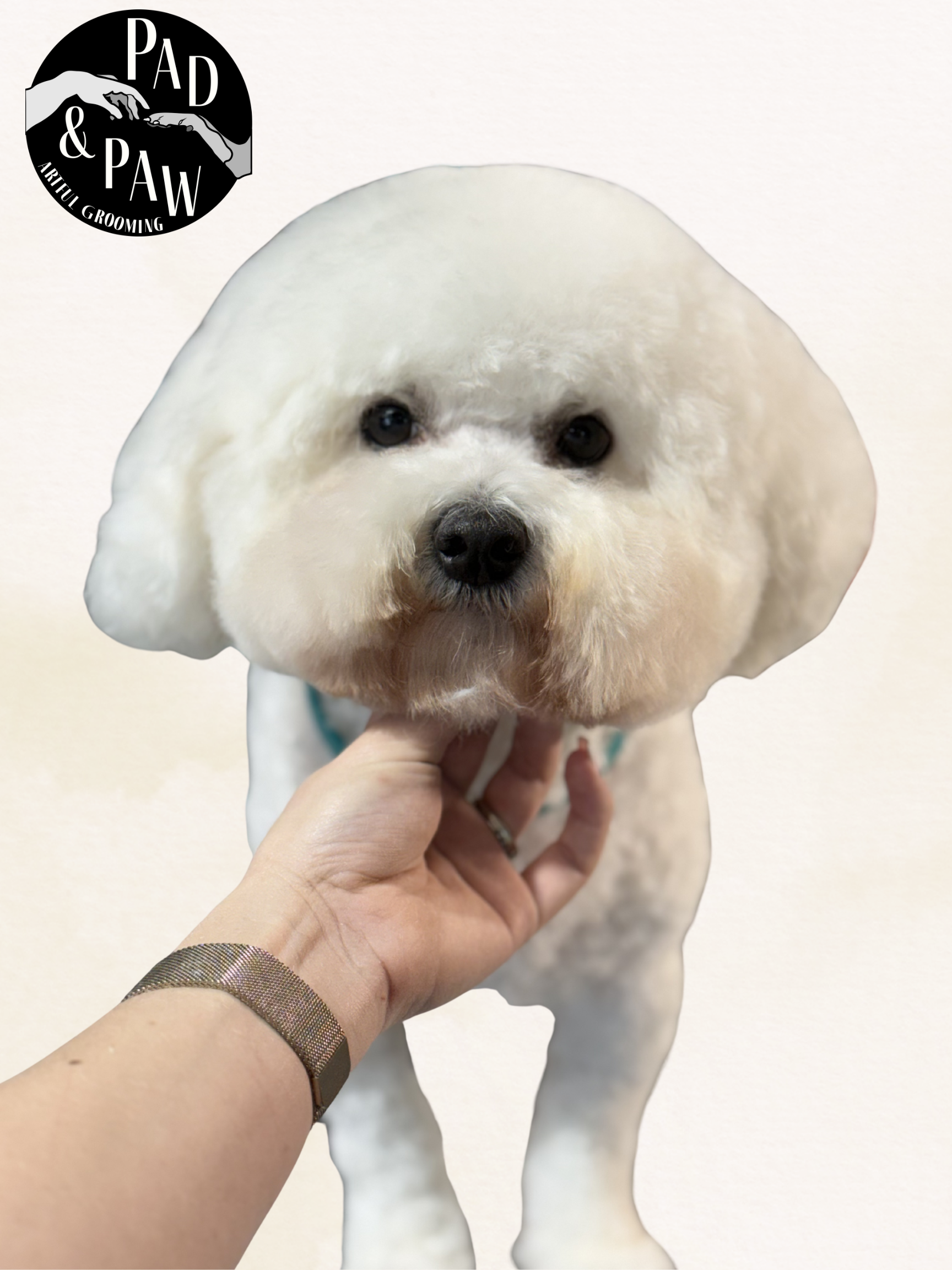 Untitled design - 3.png