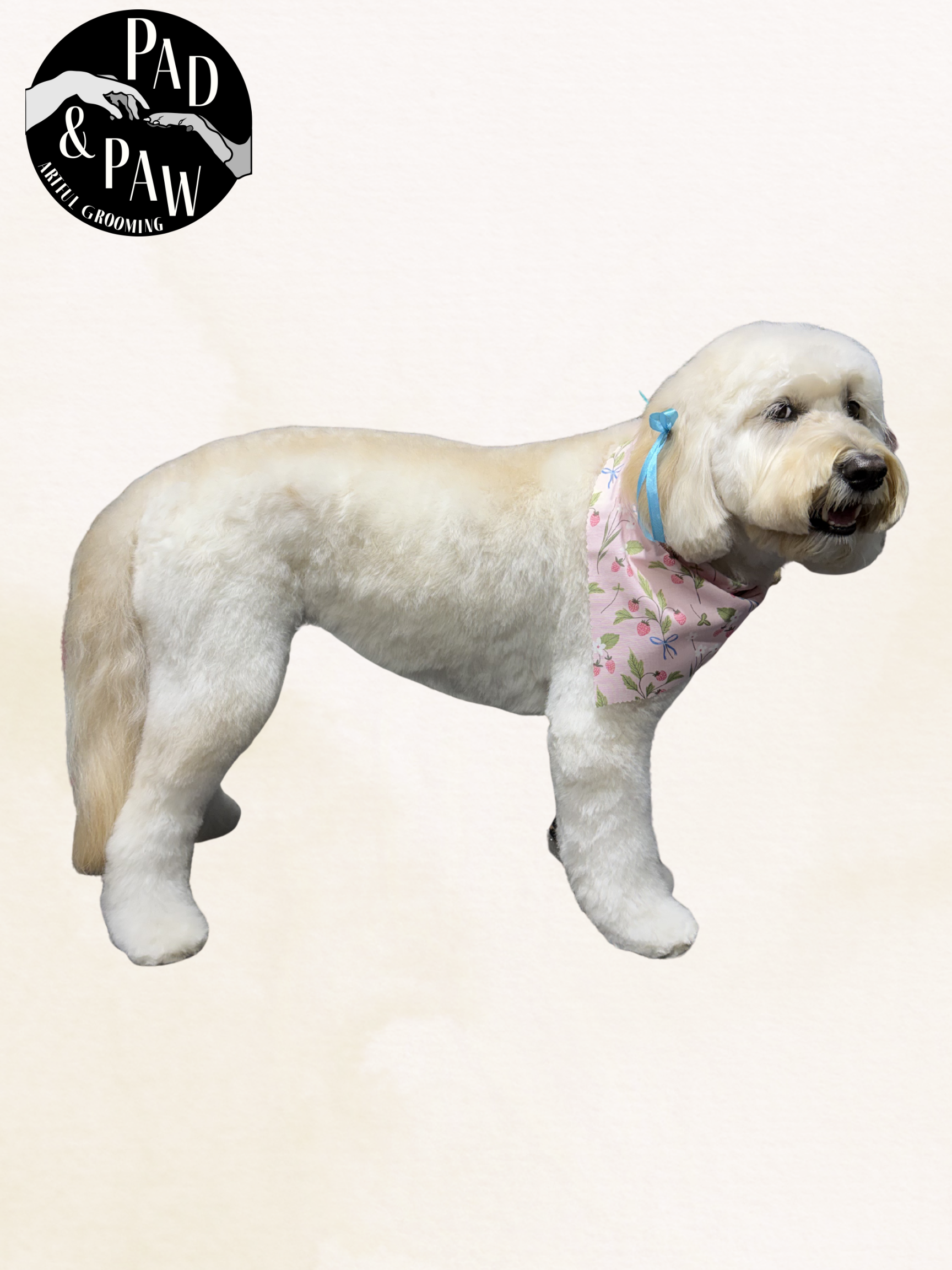 Untitled design - 8.png