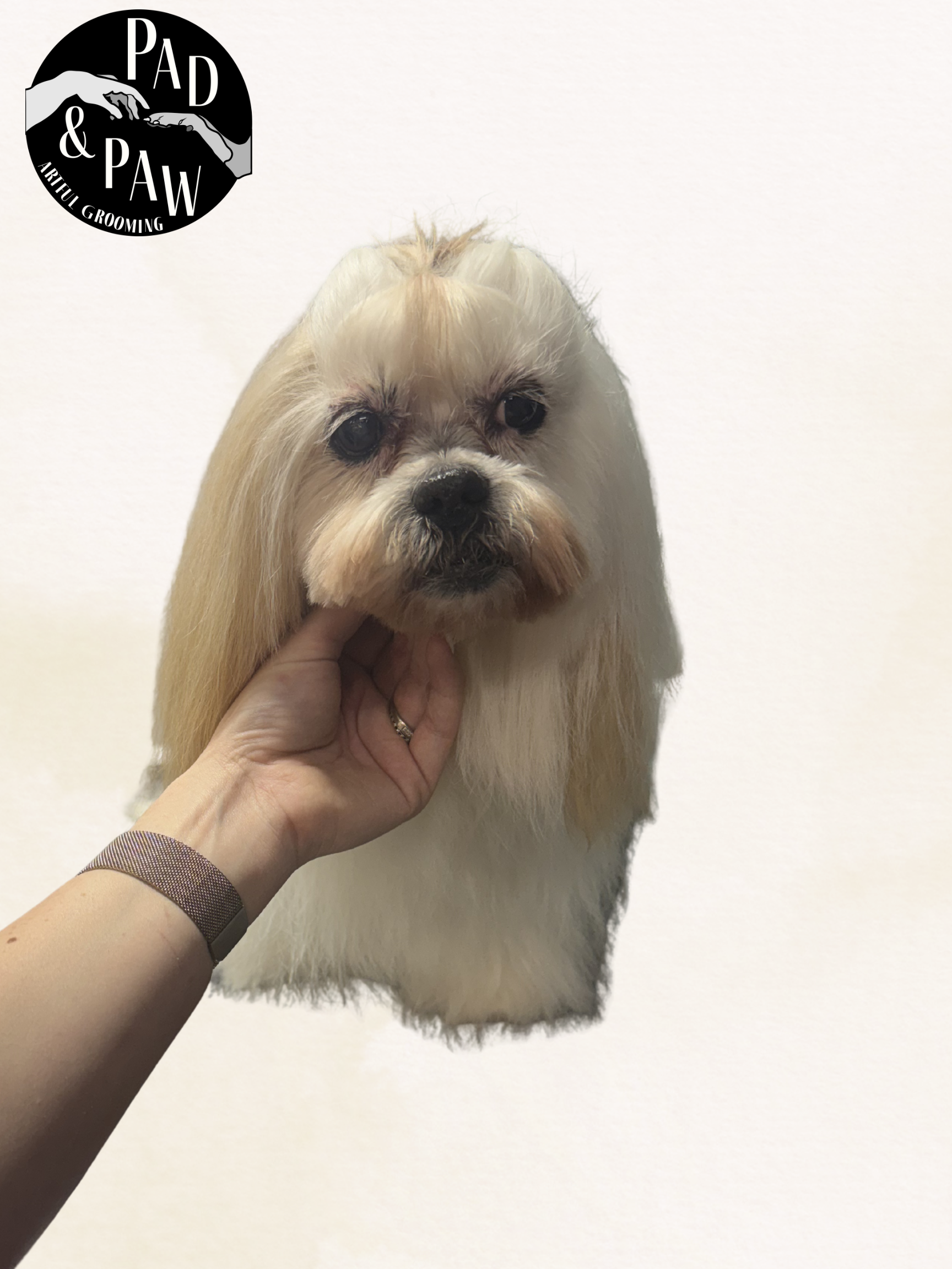 Untitled design - 4.png