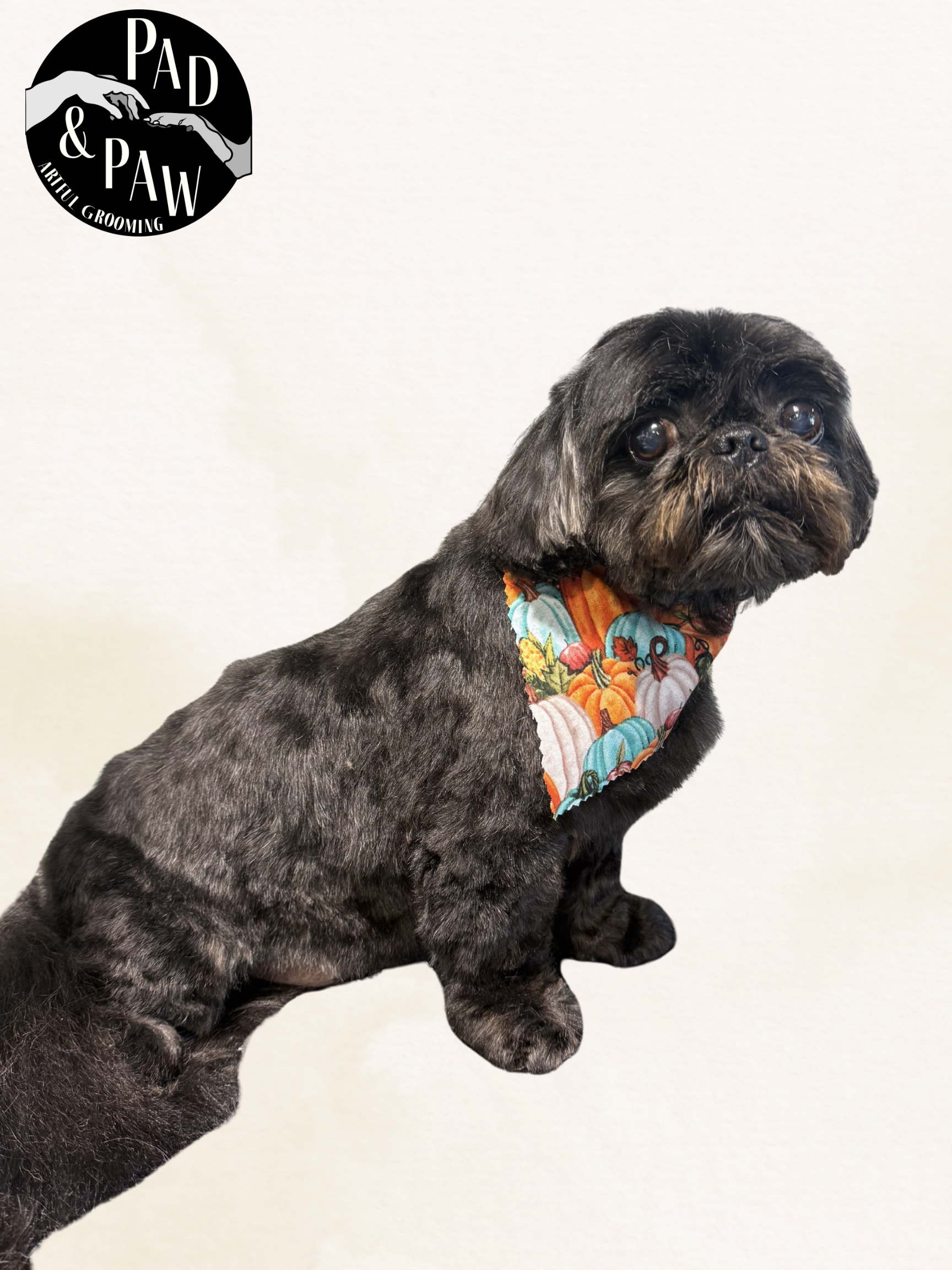 Untitled design - 10.png