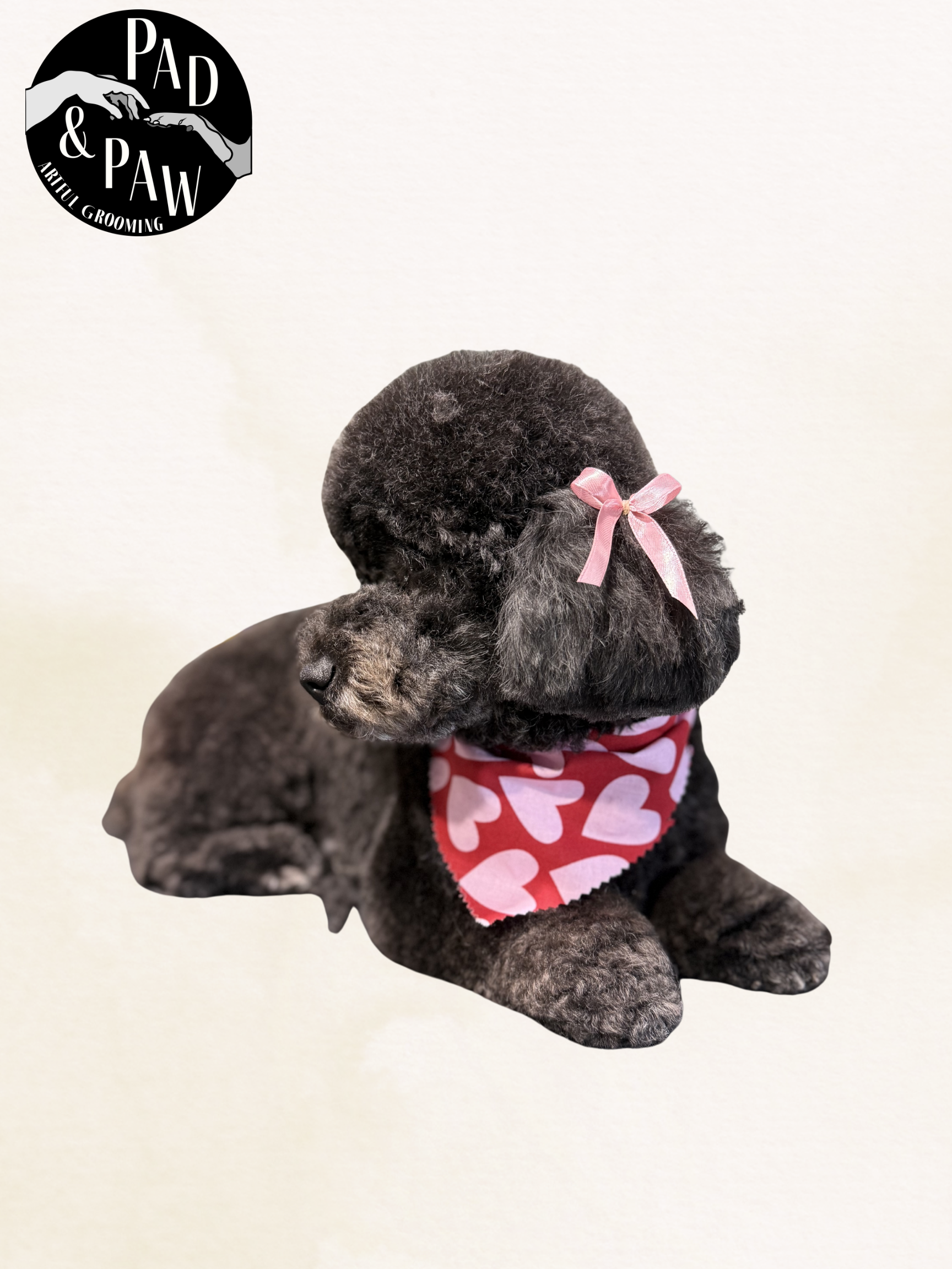 Untitled design - 5.png