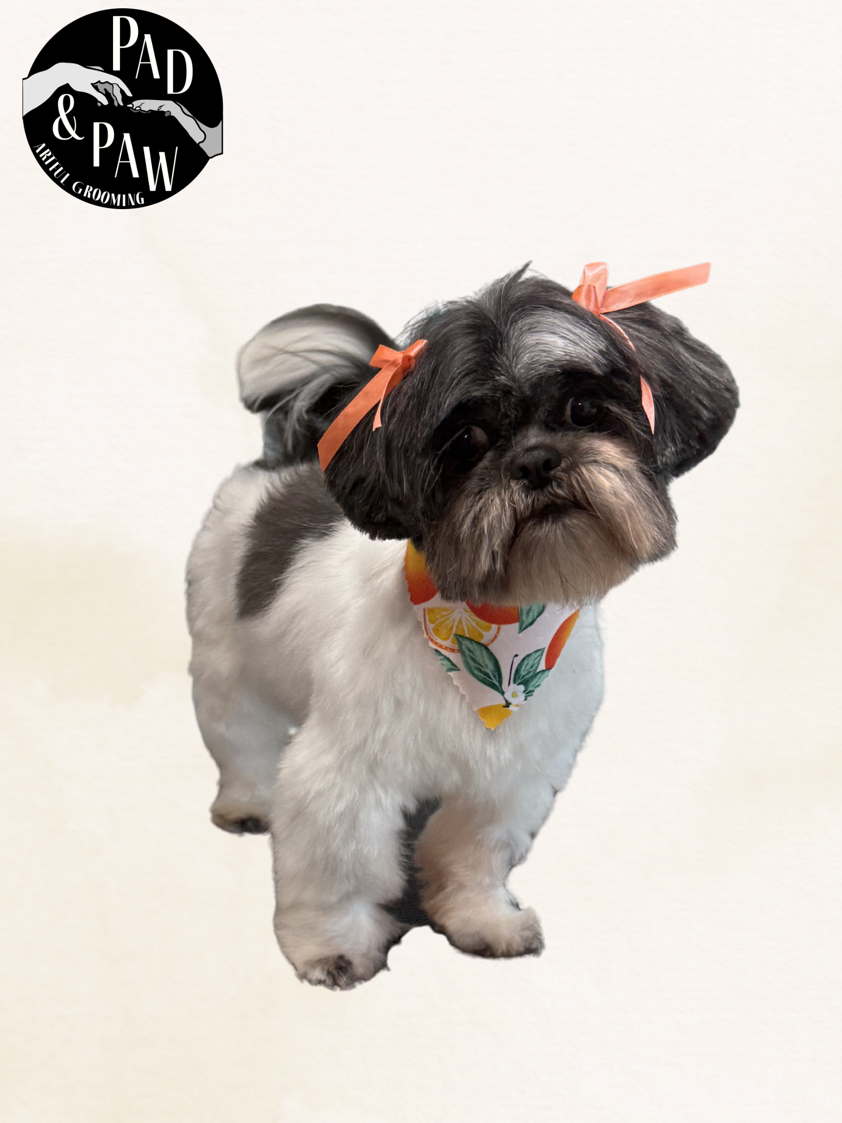 Untitled design - 14.png