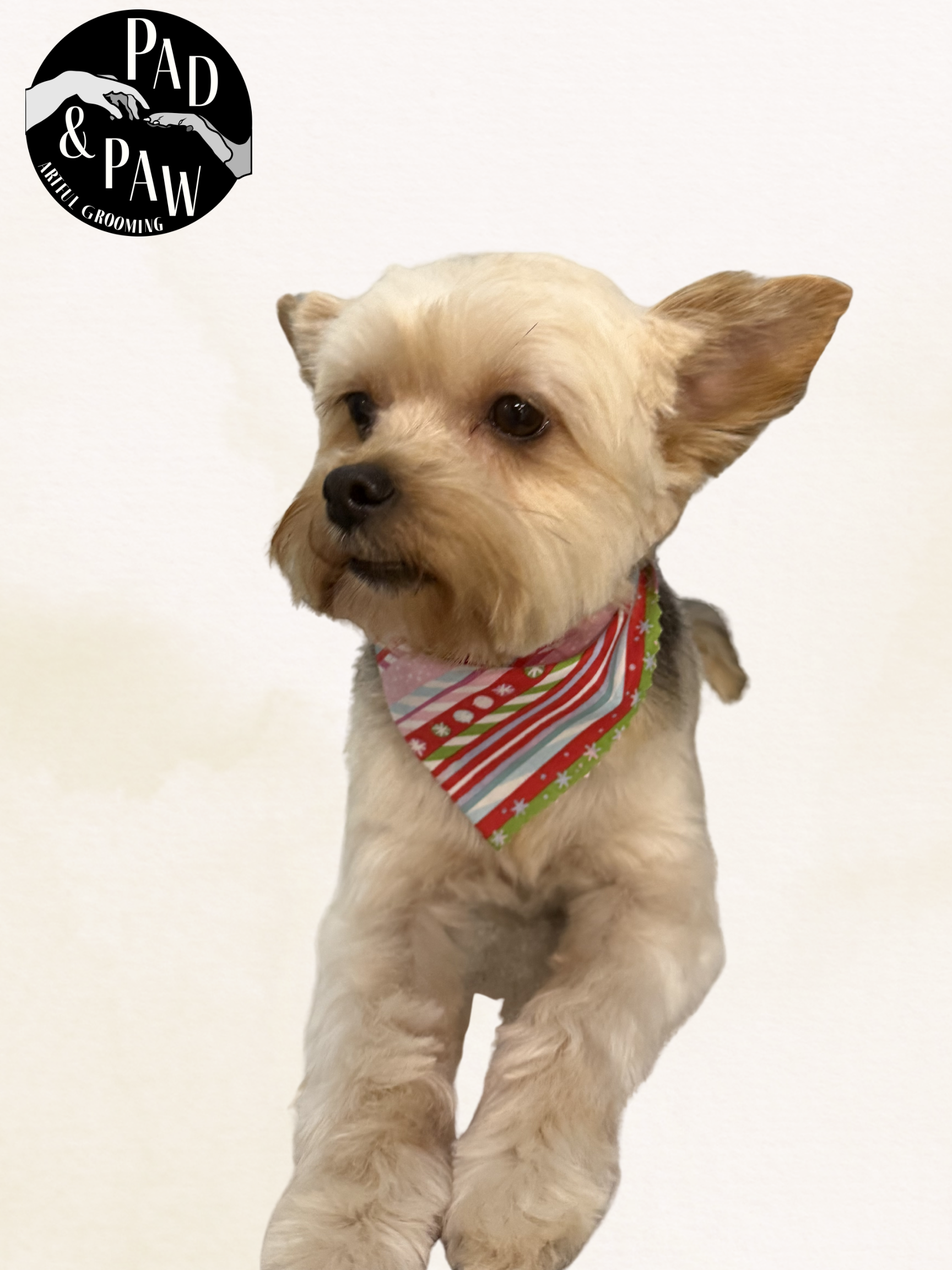 Untitled design - 9.png