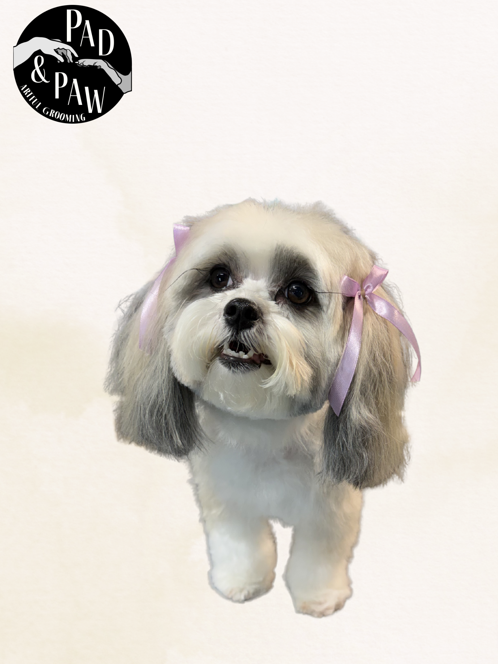 Untitled design - 1.png