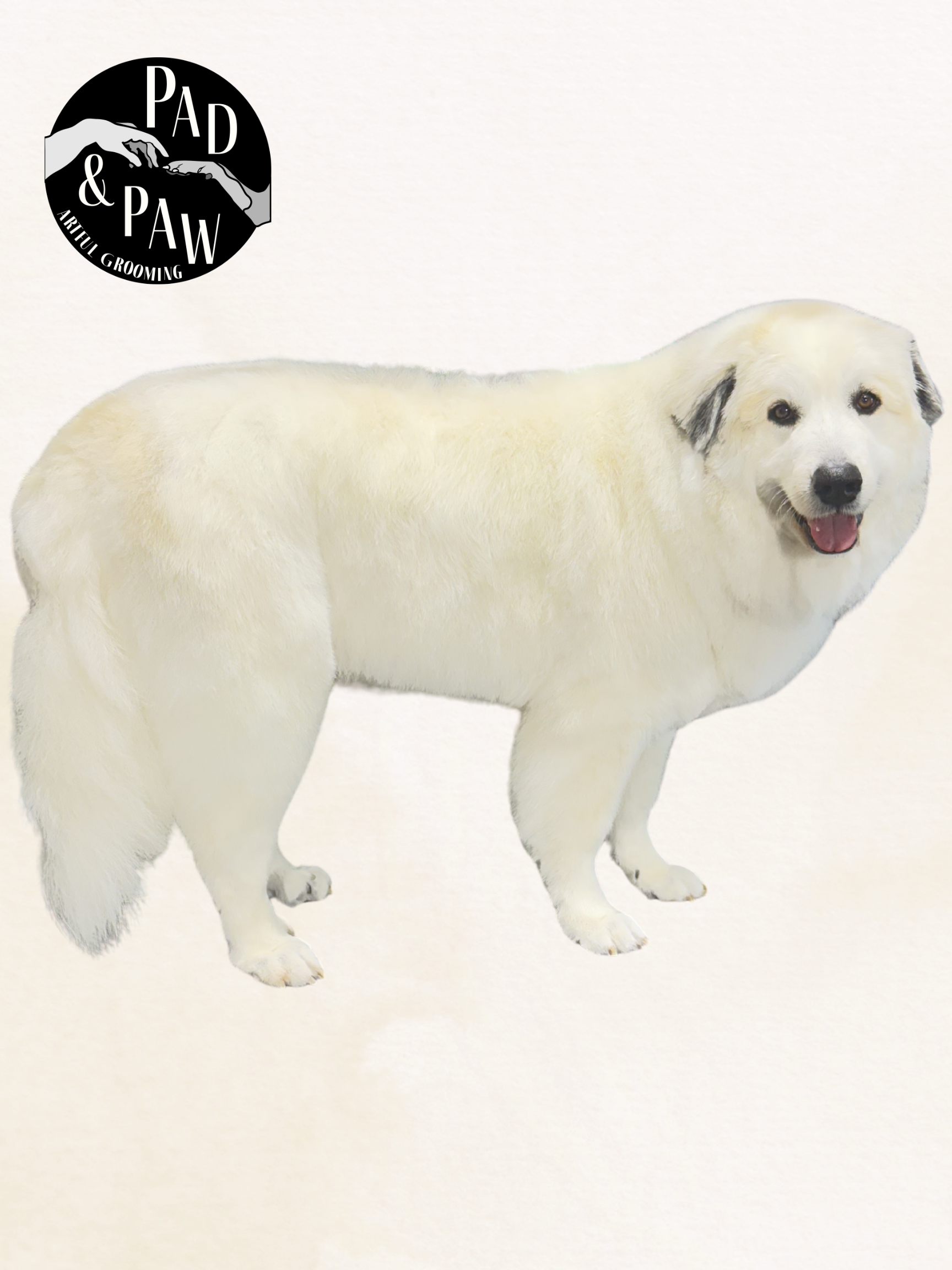 Untitled design - 16.png