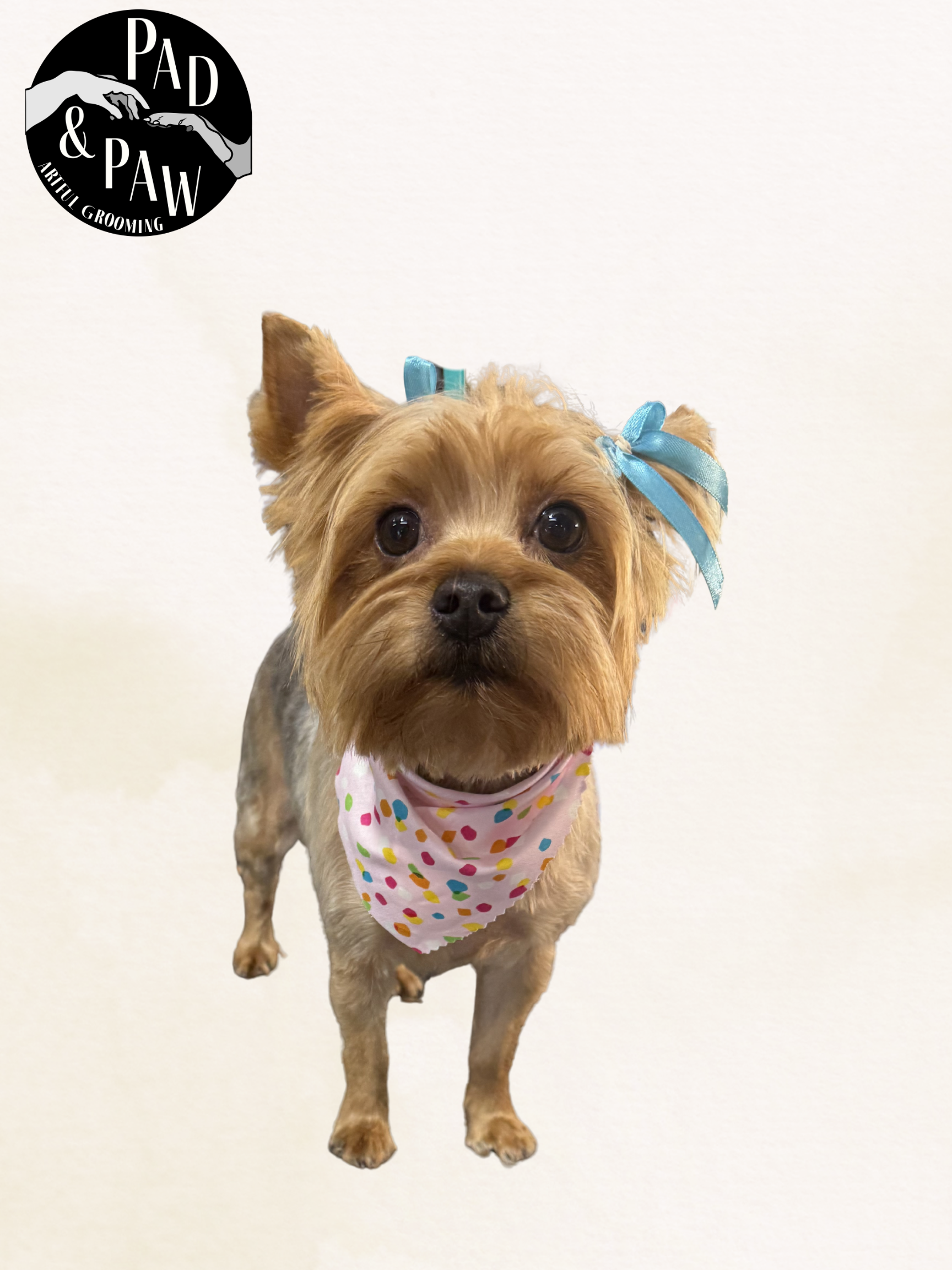 Untitled design - 2.png