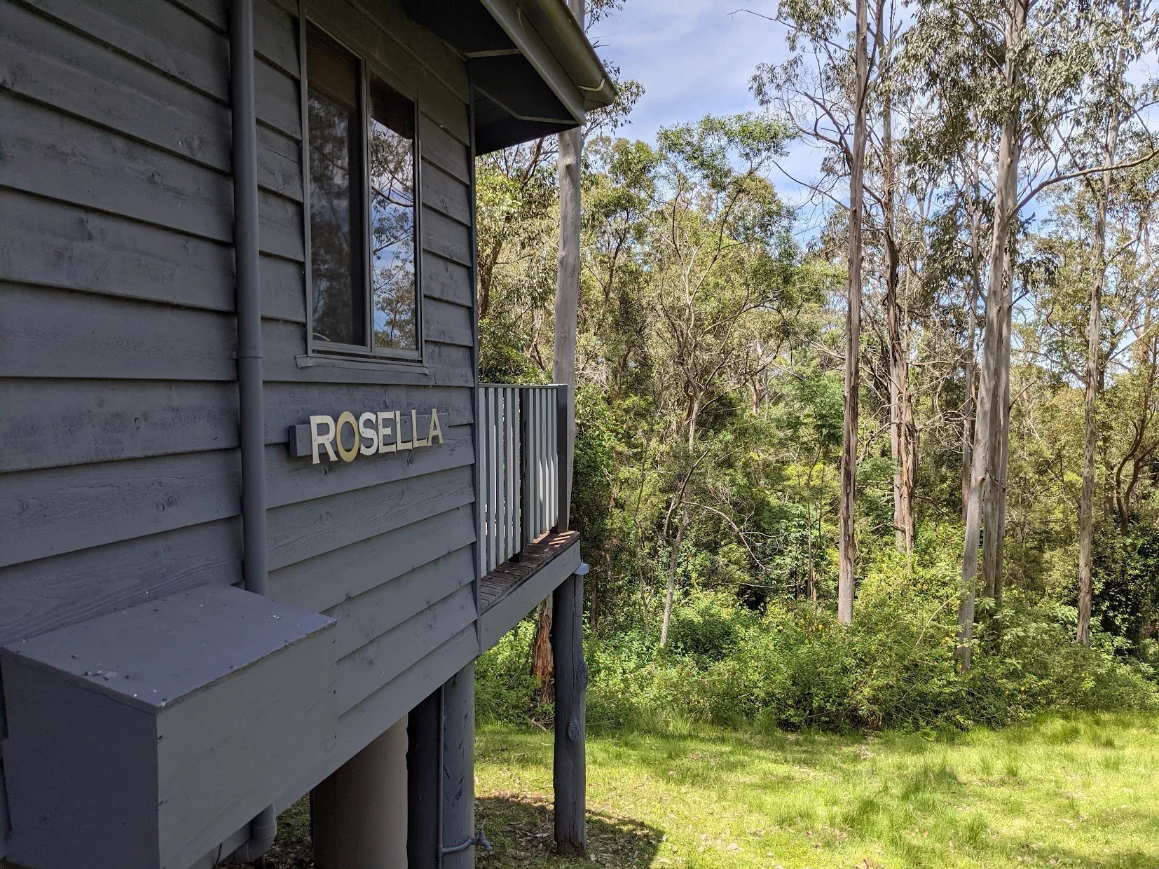 rosella.jpg