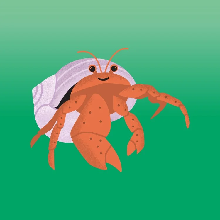 migrationdesign_bmsc_hermit_crab.jpg