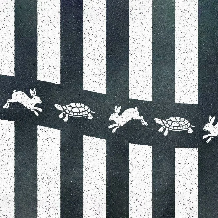 migrationdesign_tortoise_hare_crosswalk.jpg