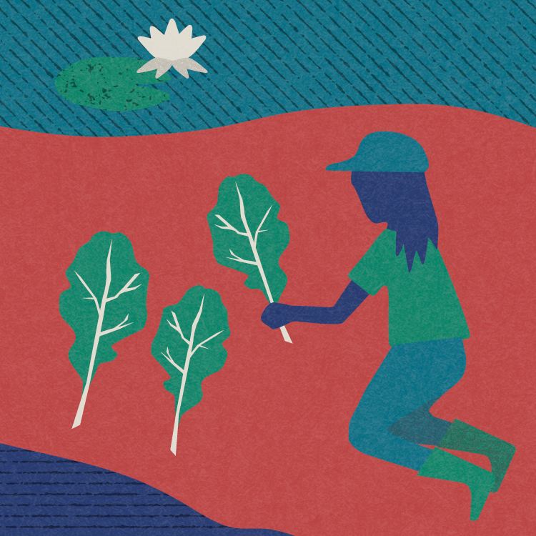 migrationdesign_d.talks_gardening.png