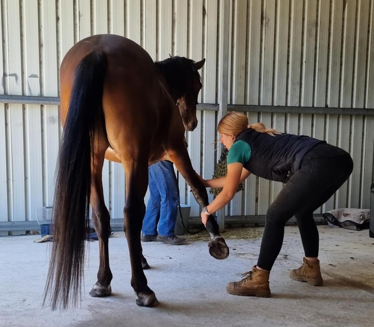 Are you located in Perth and interested in Biomechanical Medicine for your horse? 🐴

I am back in Perth treating between the 25-30th November and have a few appointment slots still available:

- 6 appointments left in Oakford (Monday afternoon, or F