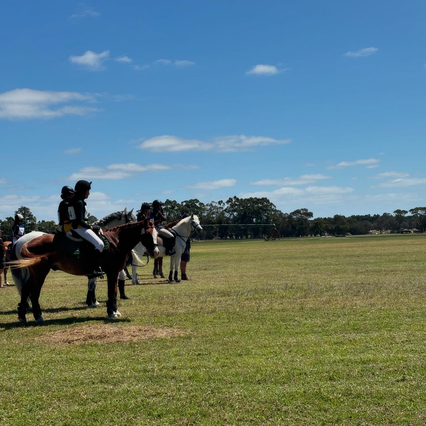 Fun day being vet on course at Capel Horse and Pony Club for their ODE 🐴 Always great to watch grass roots young riders enjoying their horses and supporting each other ☺️👏 #grassrootseventing #equinevet #ponyclubwa