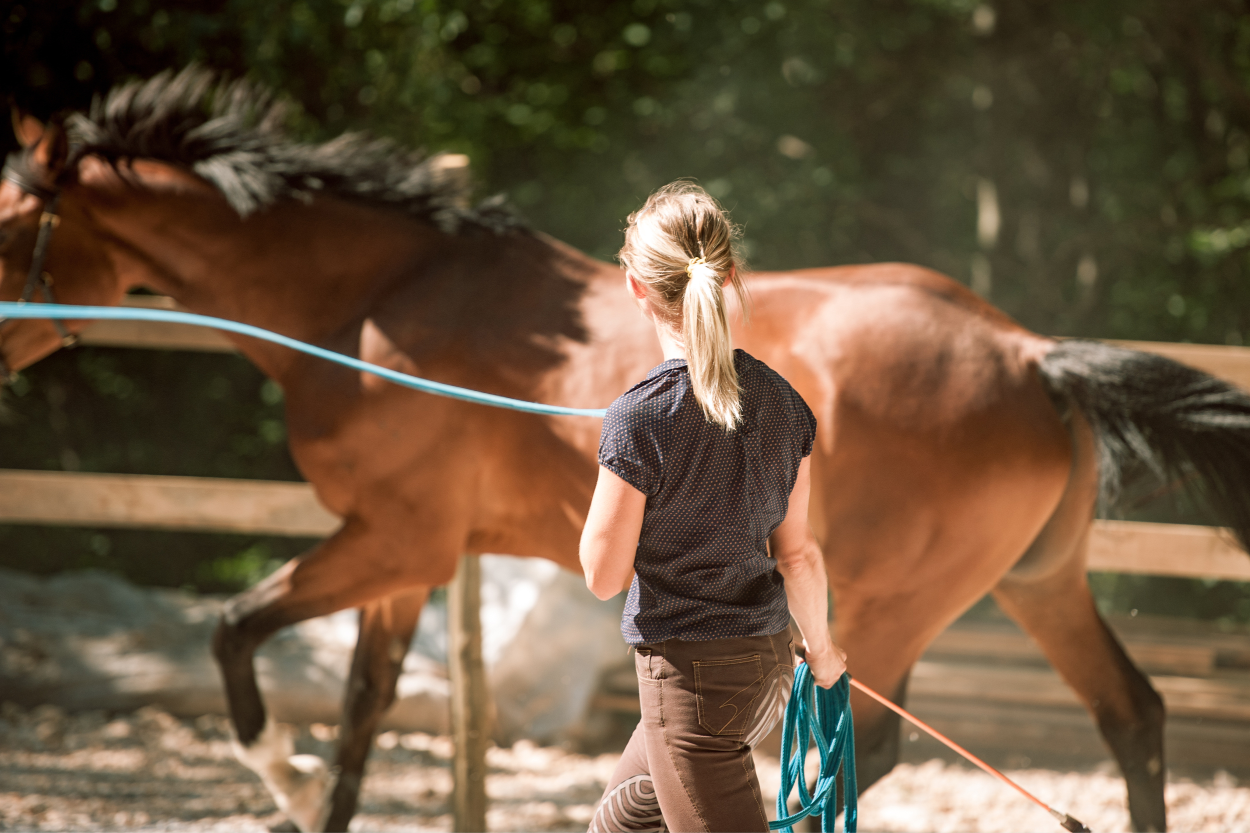Woman Lunging Horse