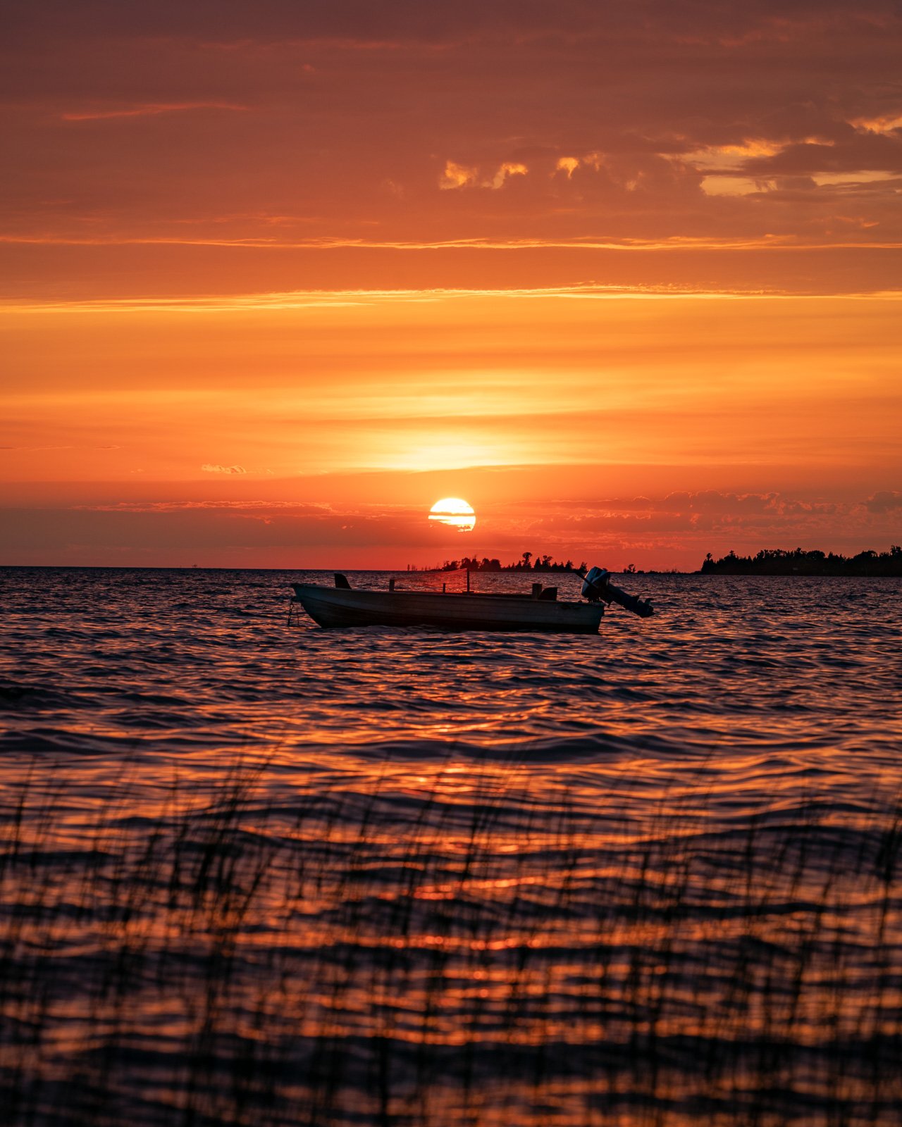 Seascape - For Web - Oliphant.jpg