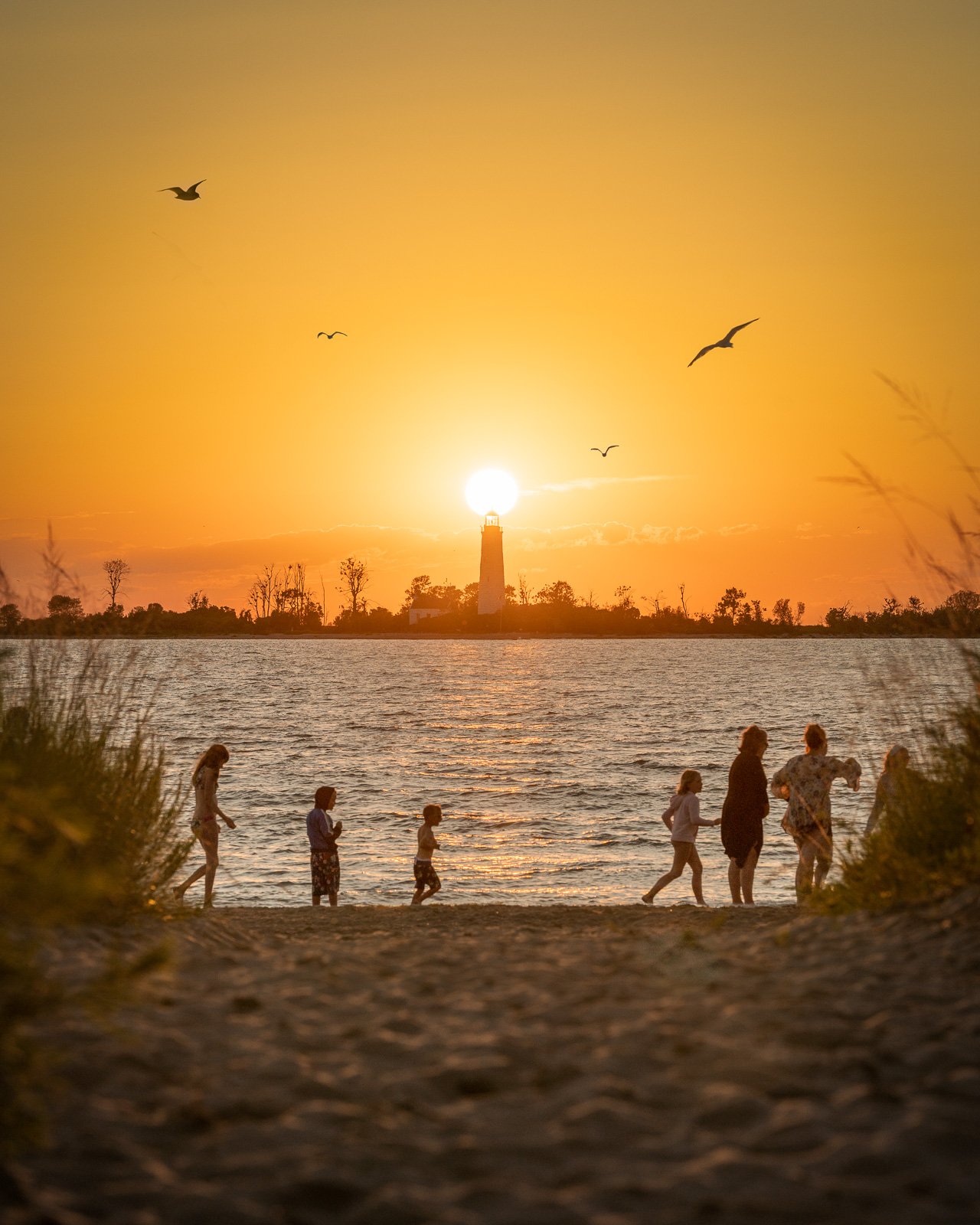 Seascape - For Web - Southampton Alignment.jpg