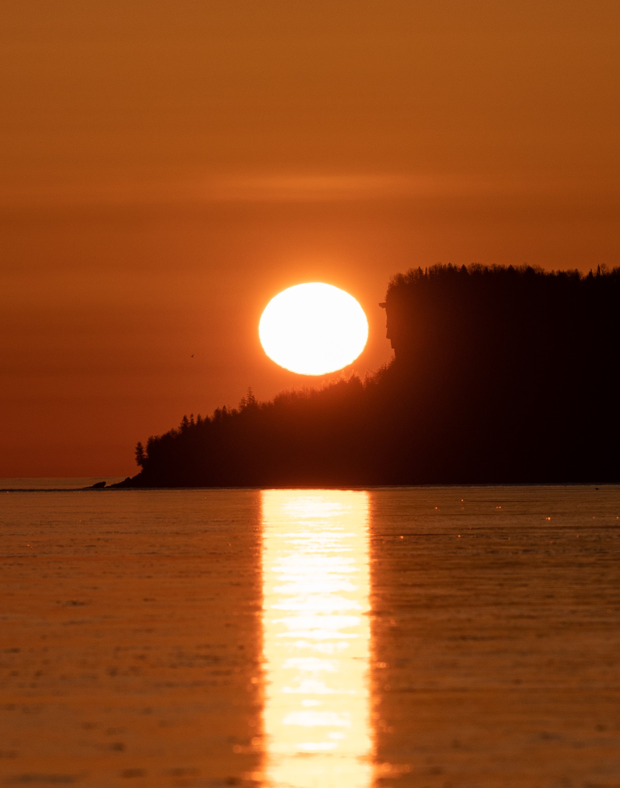 I__08207.jpg