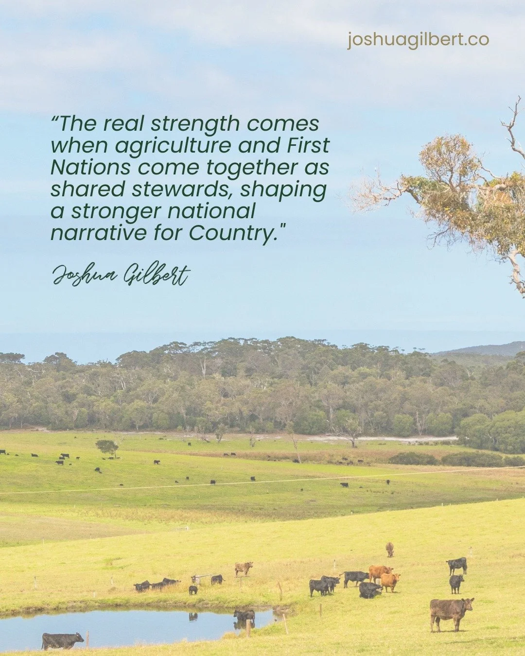 I&rsquo;ve spent a lot of time yarning about the "long story" of our land. For me, putting culture back into Agriculture is how we build a future that is honest and resilient. When we come together as shared stewards, we&rsquo;re doing more