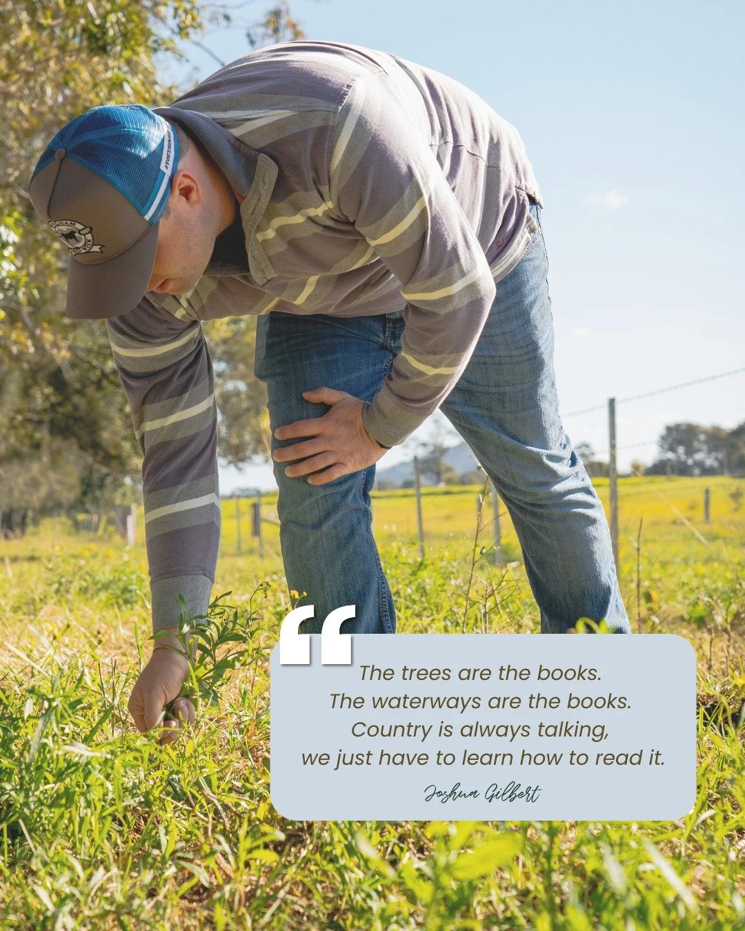 Country is always talking. The question is: are we listening? 🌿💧

"The trees are the books. The waterways are the books. Country is always talking, we just have to learn how to read it."

Every river system and every old-growth tree holds