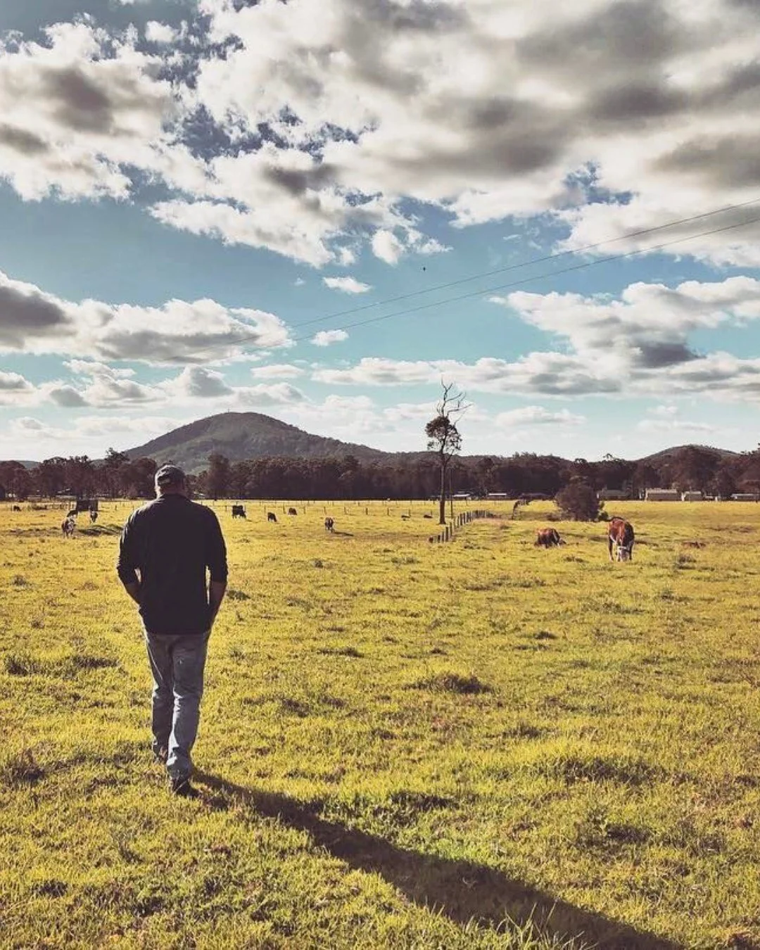 Wiyabu ☀️

Summer on Worimi Country has been a big one. For me, it&rsquo;s been about ensuring "Aboriginal Yarns" aren&rsquo;t just heard, but respected as a blueprint for the future.
My seasonal update, The Quarterly Yarn, goes out this we