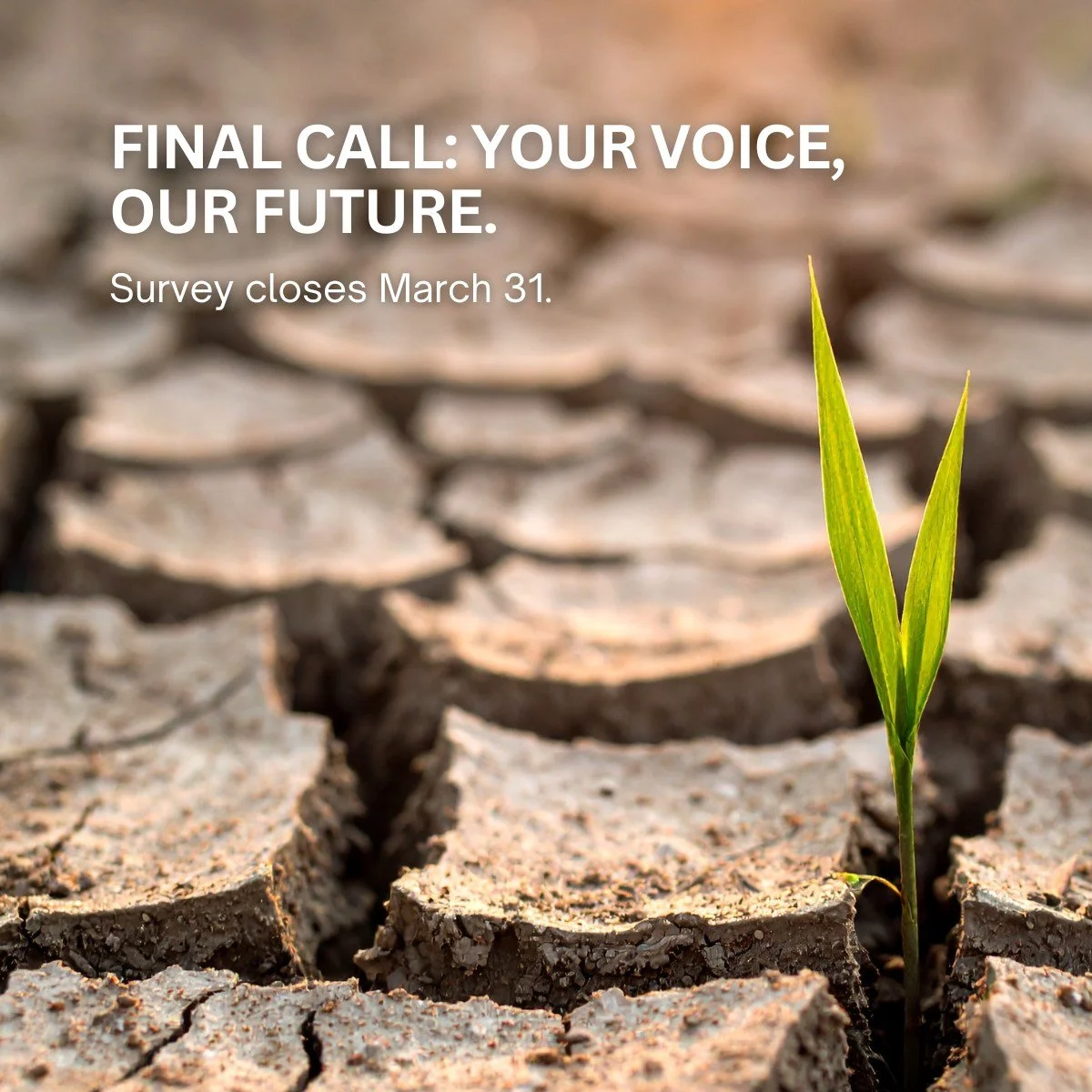 Last chance to have your say for Mob! 🖤💛❤️

The clock is ticking! The Winangali drought survey closes on March 31.

We know that when dry times hit, our communities and businesses feel it first. This survey is a direct line to the Australian Govern