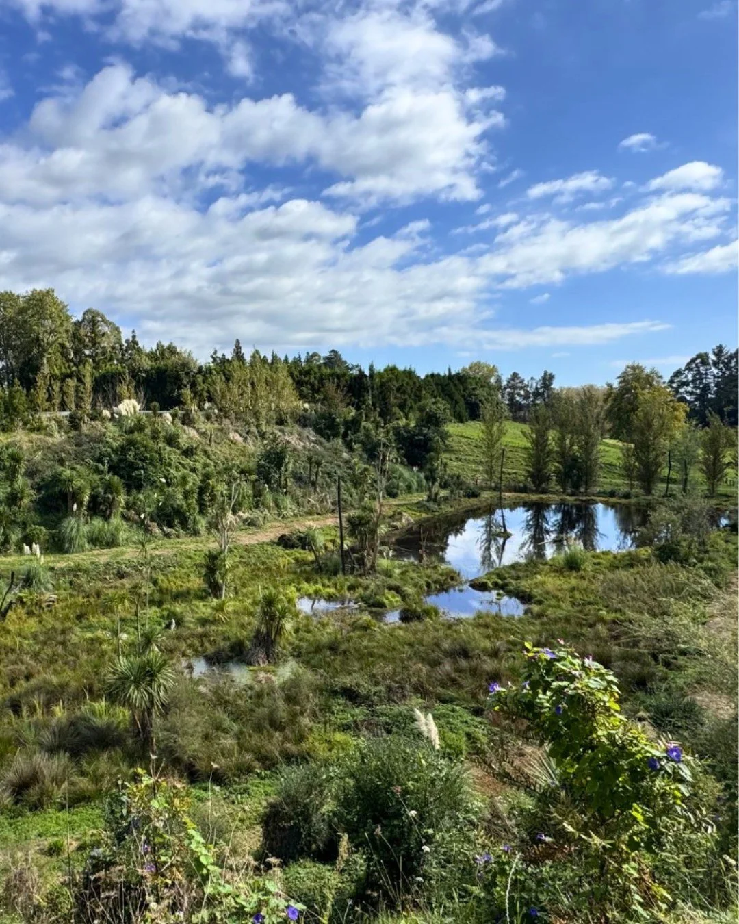 The scale of Māori agribusiness on display at the Otama Marere Trust field day in Paengaroa was significant.

With over 200 people in attendance, it is clear how much the Ahuwhenua Awards, which have been running since 1933, matter to the national ag