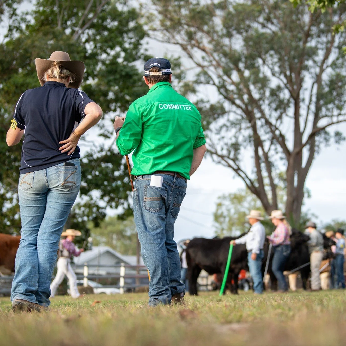 There is nothing quite like the energy of over 500 students coming together for @wingham_beef week. Seeing a record breaking crowd of young people in the stalls and cattle lines last week gives me an immense amount of confidence in the future of our 