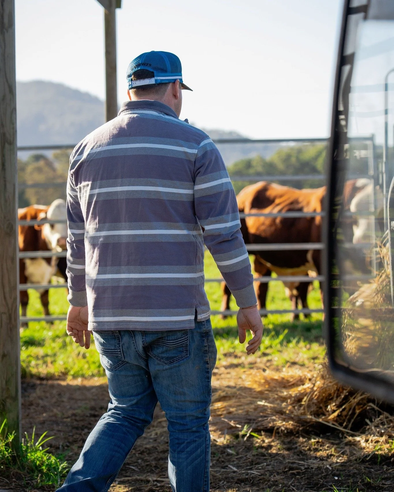 True sustainability in the corporate and agricultural sectors requires a deliberate balance of different frameworks. In my career, I have worked inside corporate accounting cubicles and sat on national boards, but I have also managed cattle in the pa