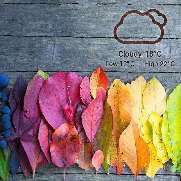 media-grid-leaf.jpg