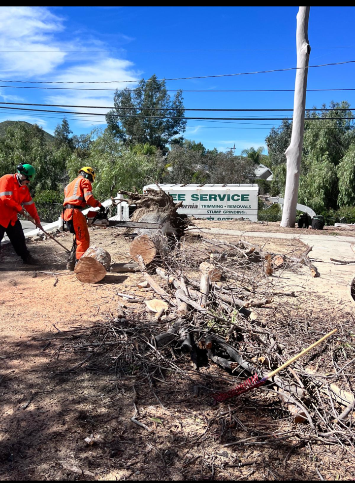 Average Time for Tree Removal Service