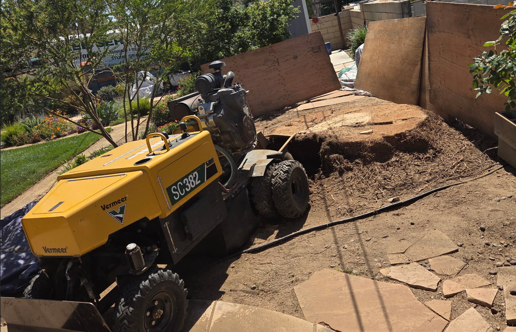 Five Reasons Southern California Homeowners Shouldn't Ignore That Old Stump