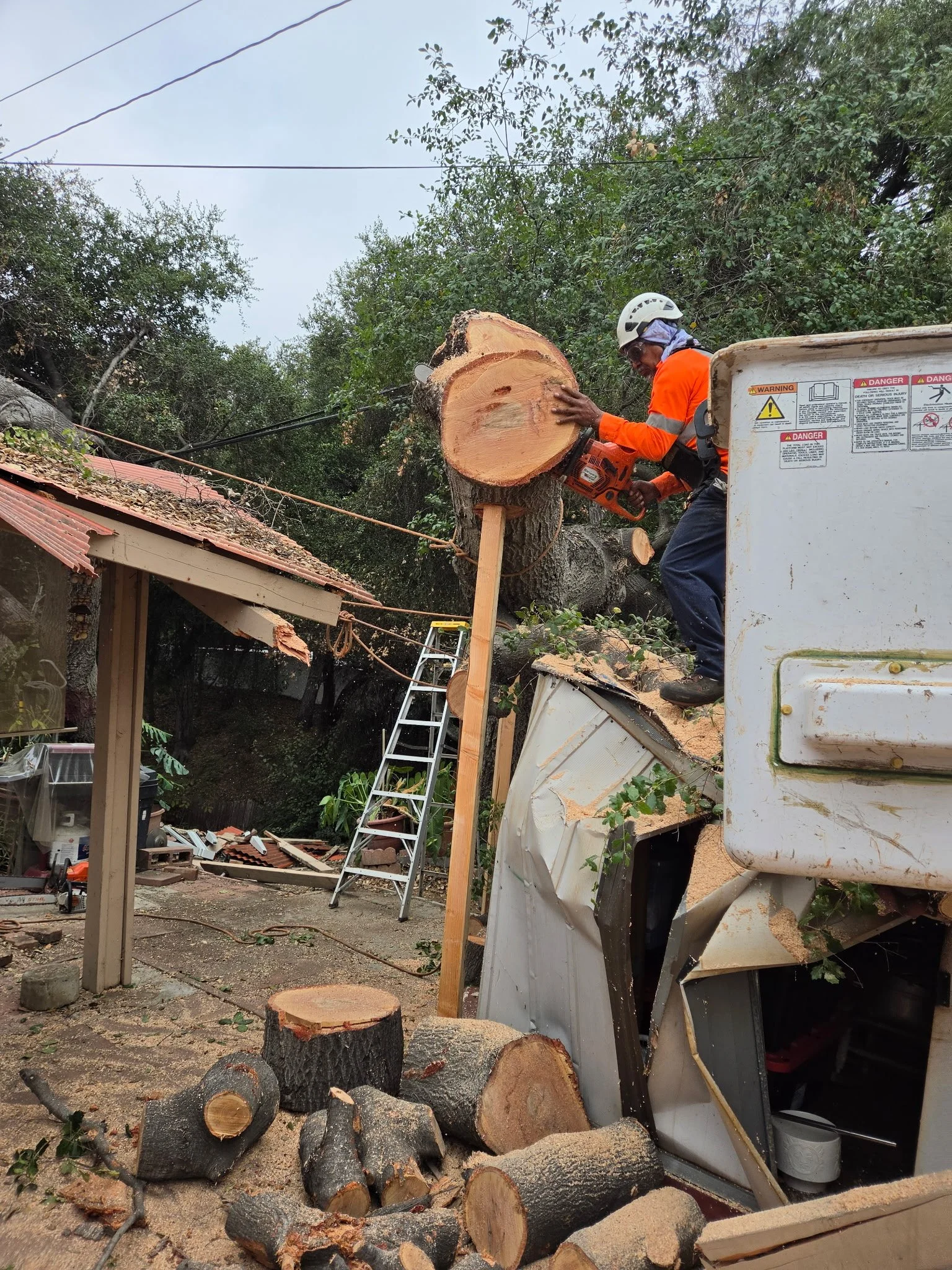 Emergency Tree Removal at a West Covina Home After High Winds